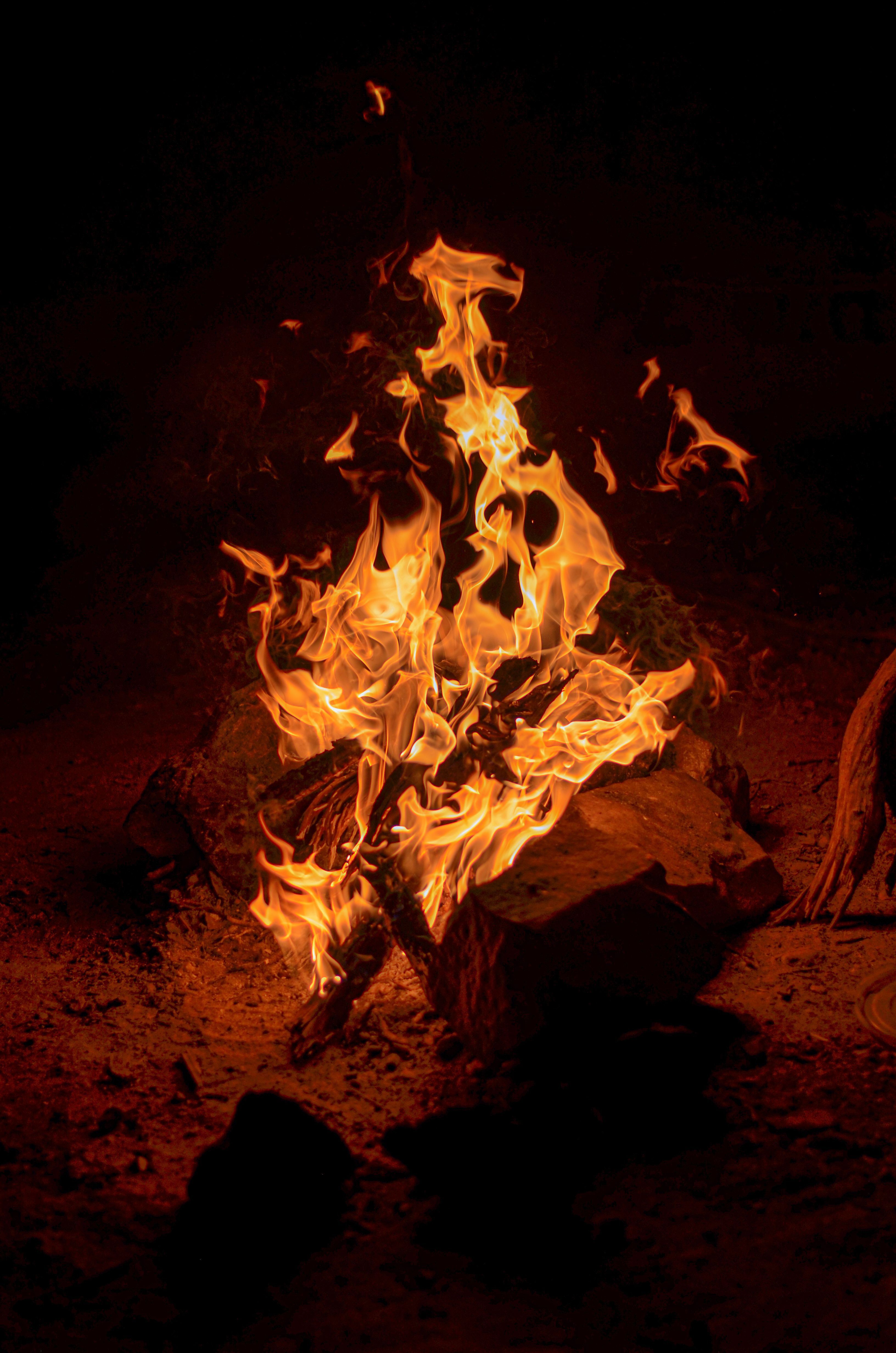 3264x4928 Burning Wood on the Ground · Free