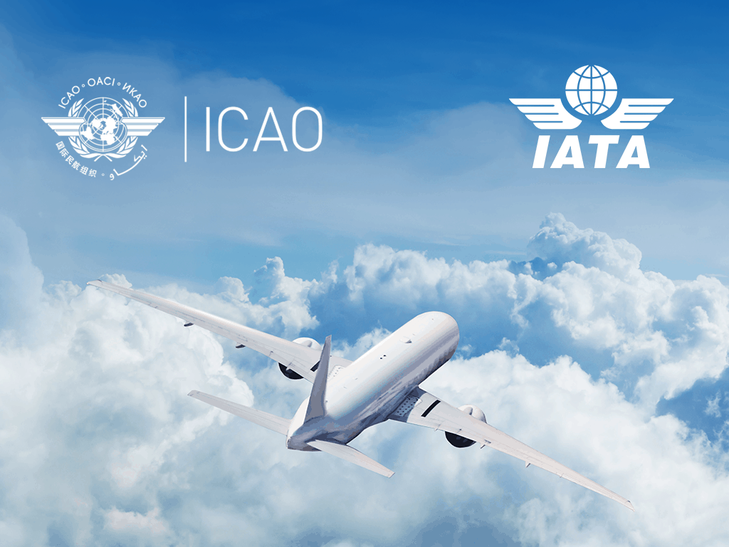 1024x768 ICAO vs IATA they are and what do they do?