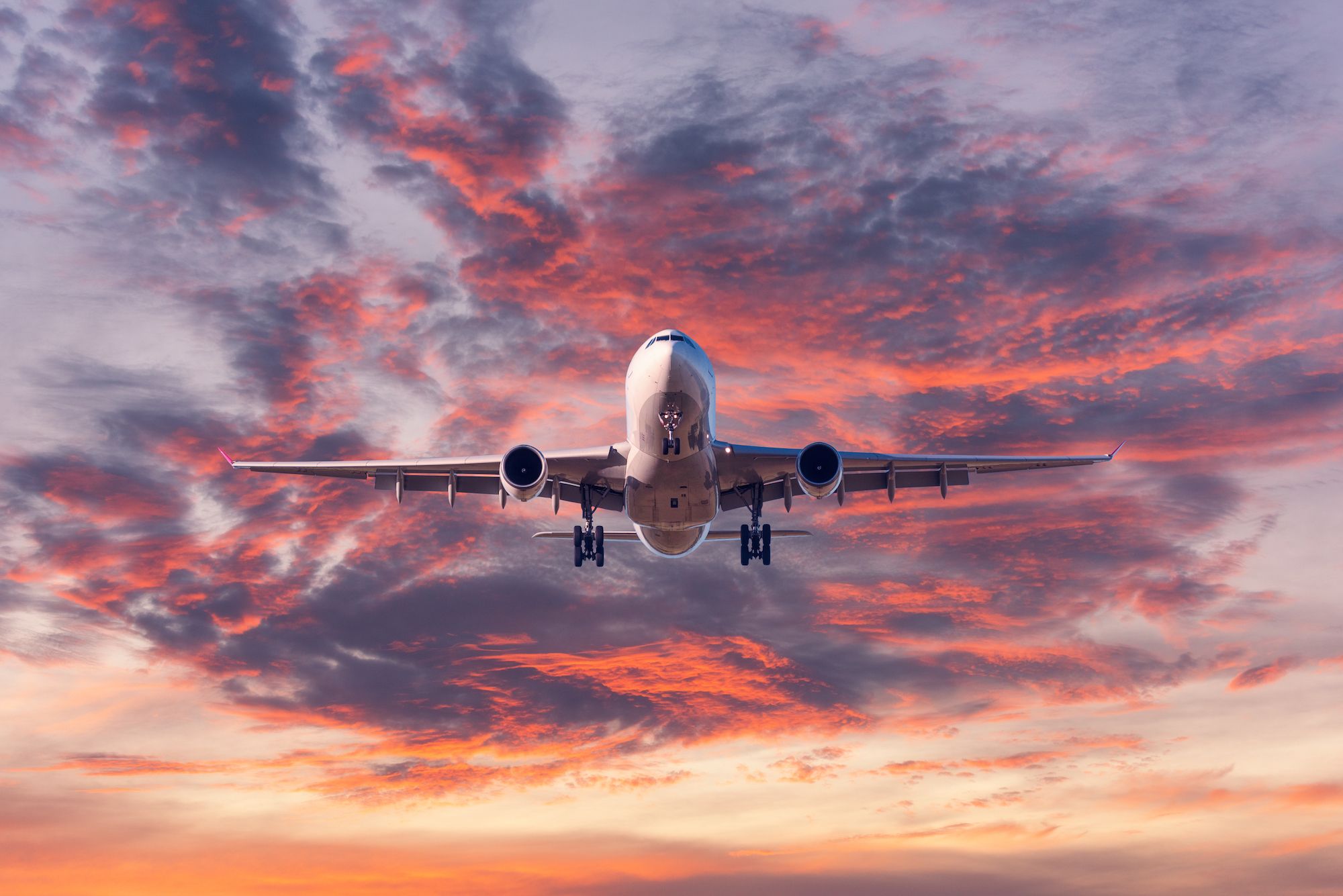 2000x1335 What is the IATA: International Air Transport Association