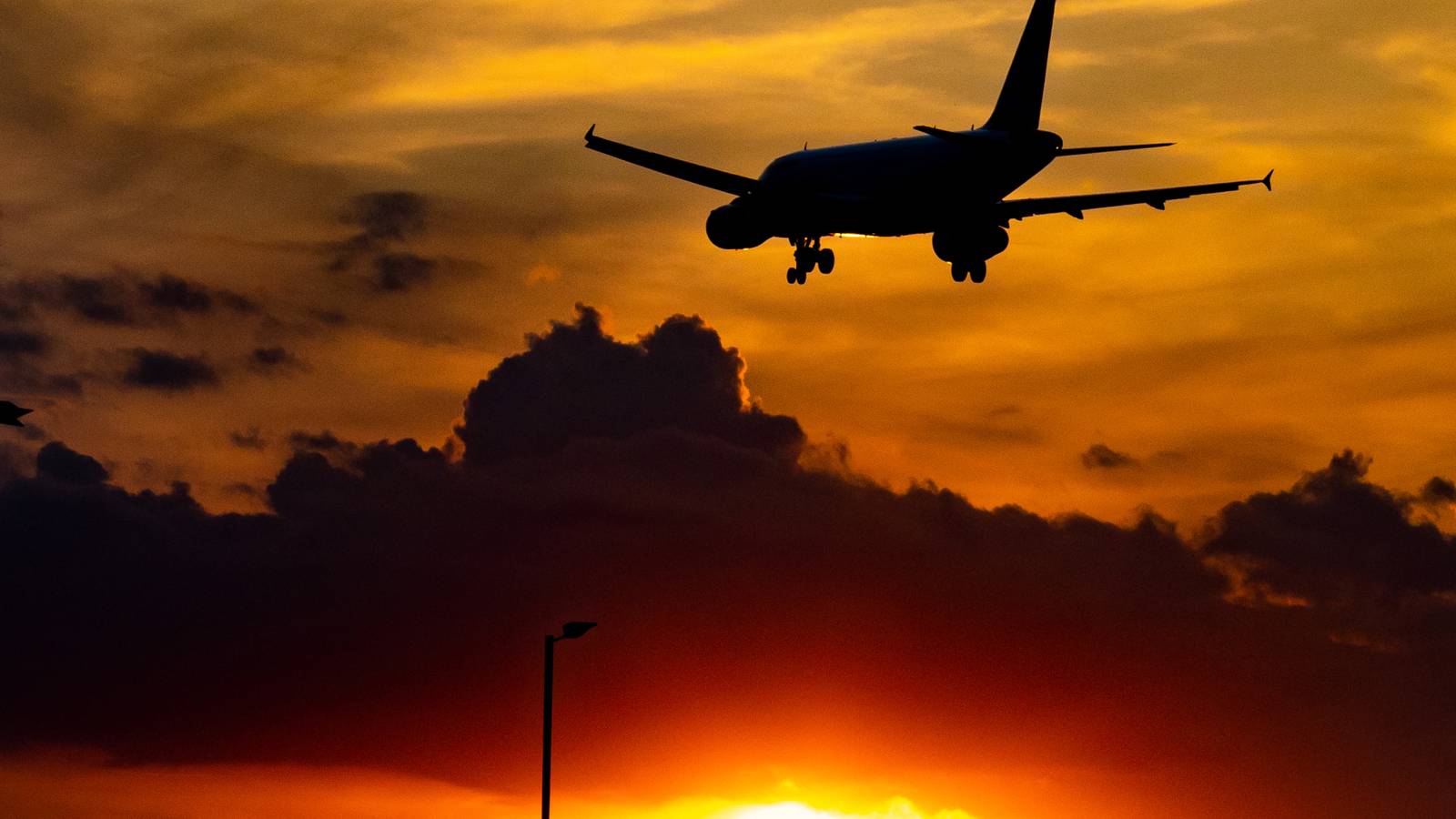 1600x900 IATA Sets An Industry Wide 2050 Net Zero Goal It Matters