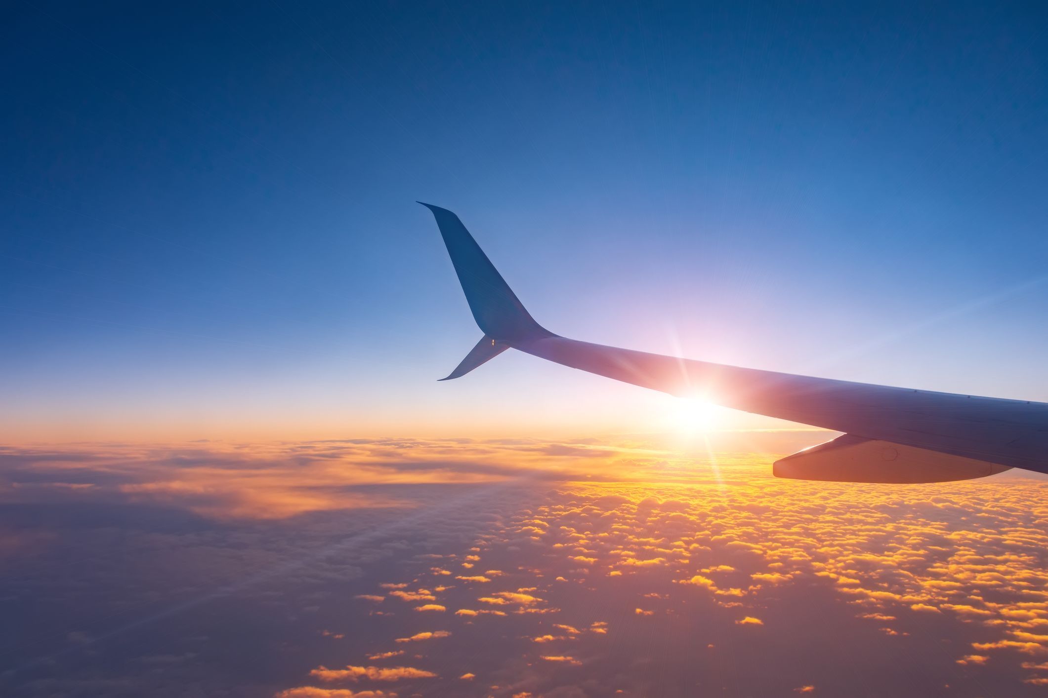 2121x1414 IATA of the Week June 2025