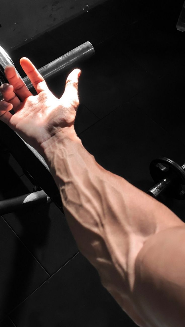 736x1300 Forearm Veins