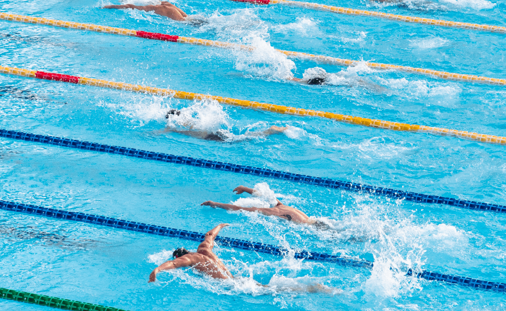 1647x1012 Swim smarter not harder: the early vertical forearm