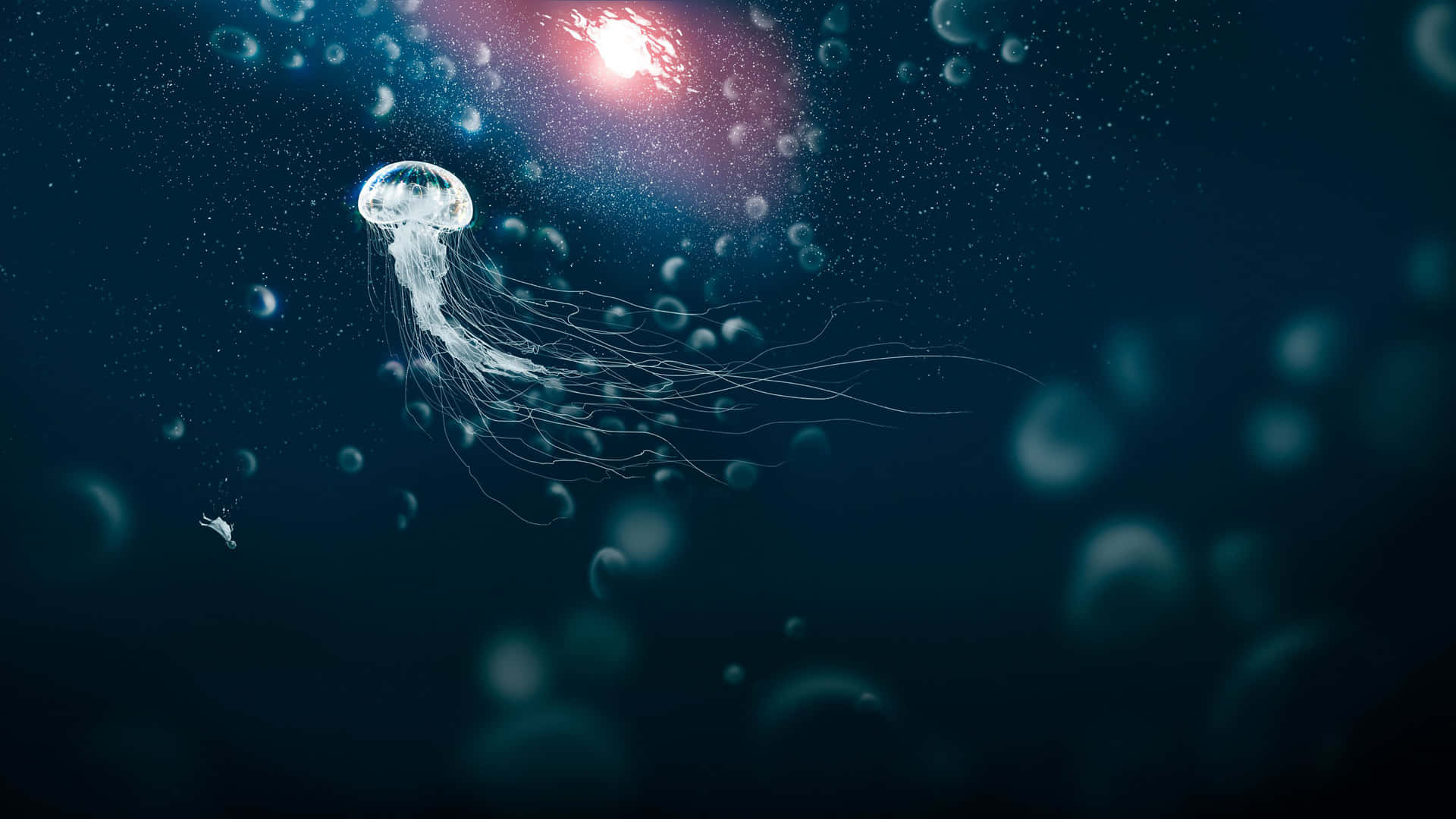 1920x1080 Deep Sea Desktop Wallpaper