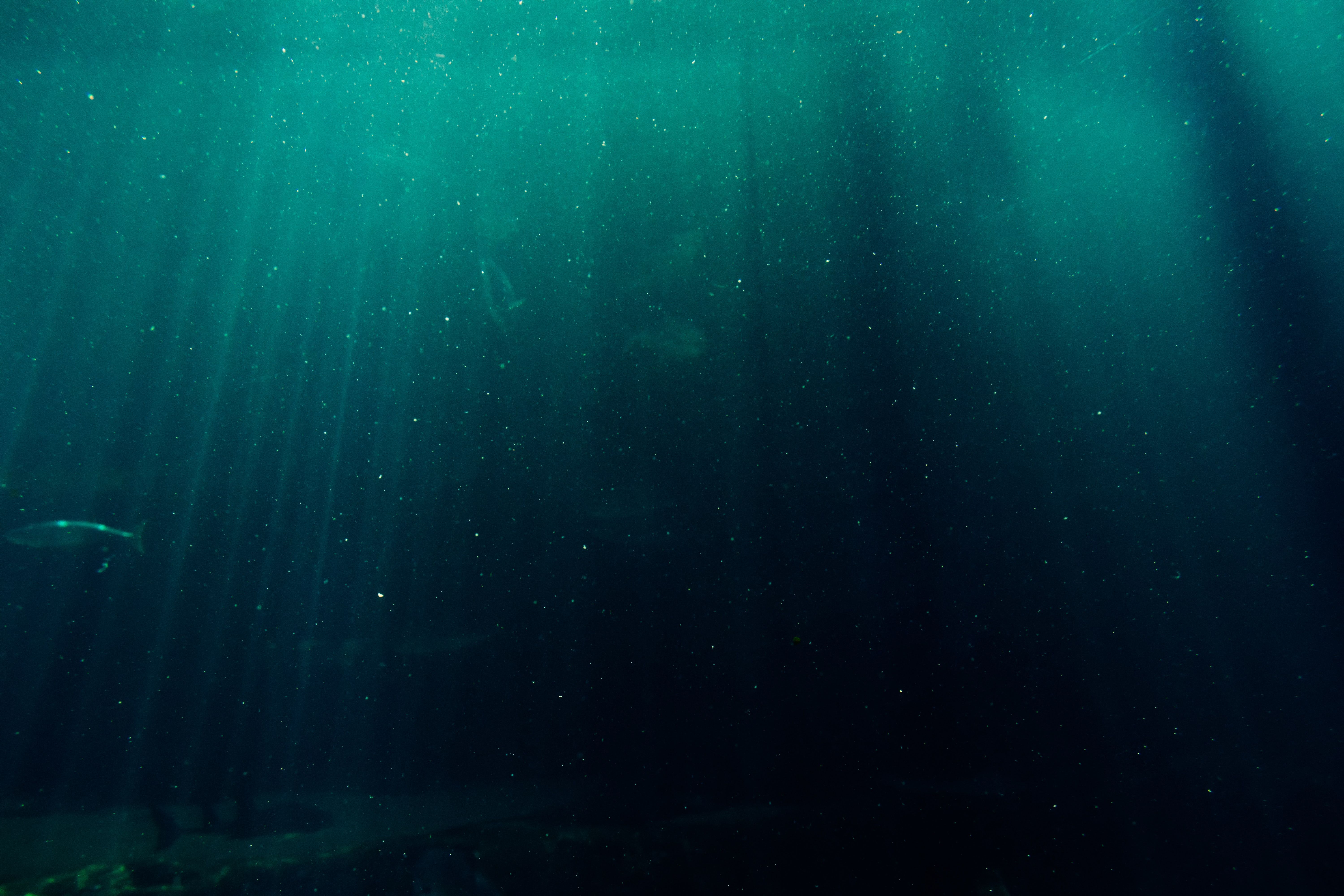 6000x4000 Deep Ocean 4k Wallpaper