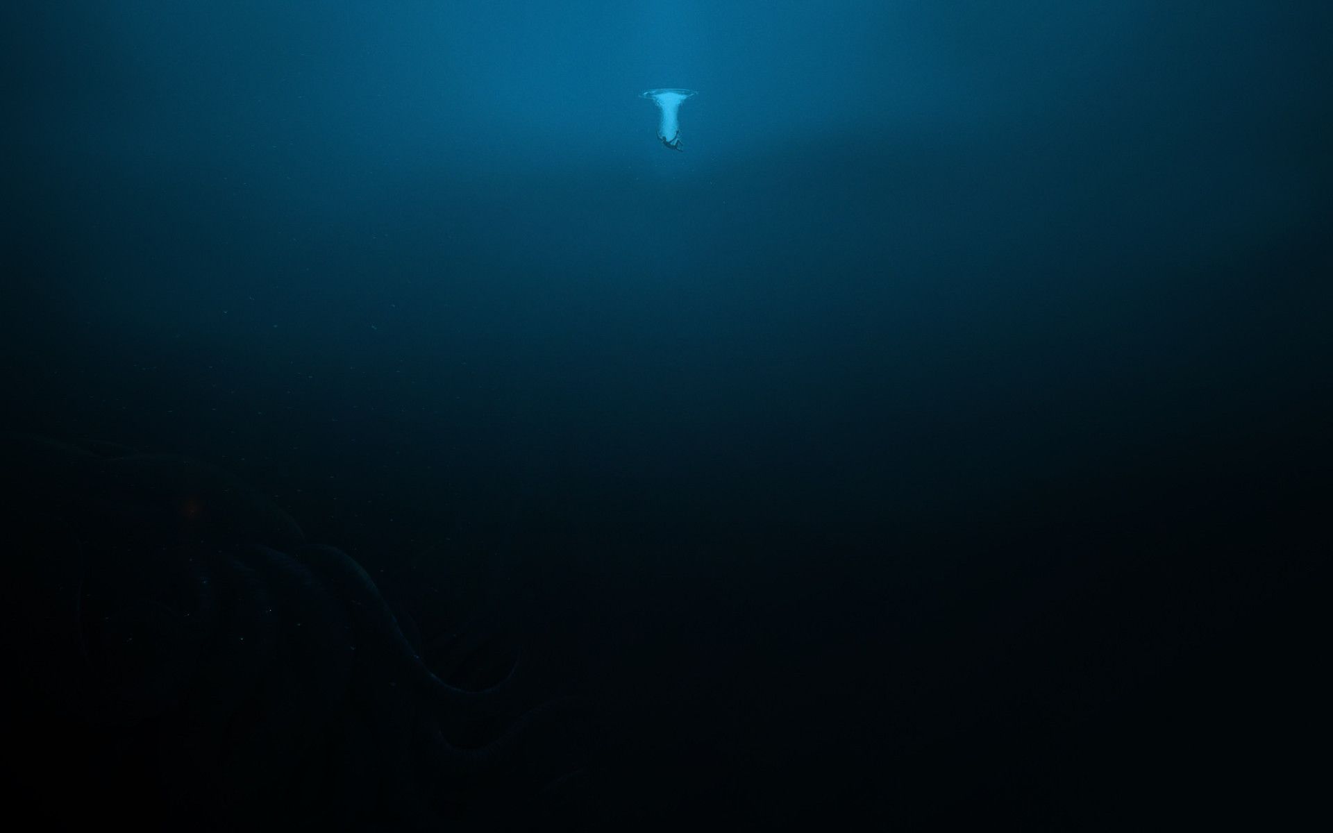 1920x1200 Enchanted Depths: Fantasy Ocean HD Wallpaperx1200