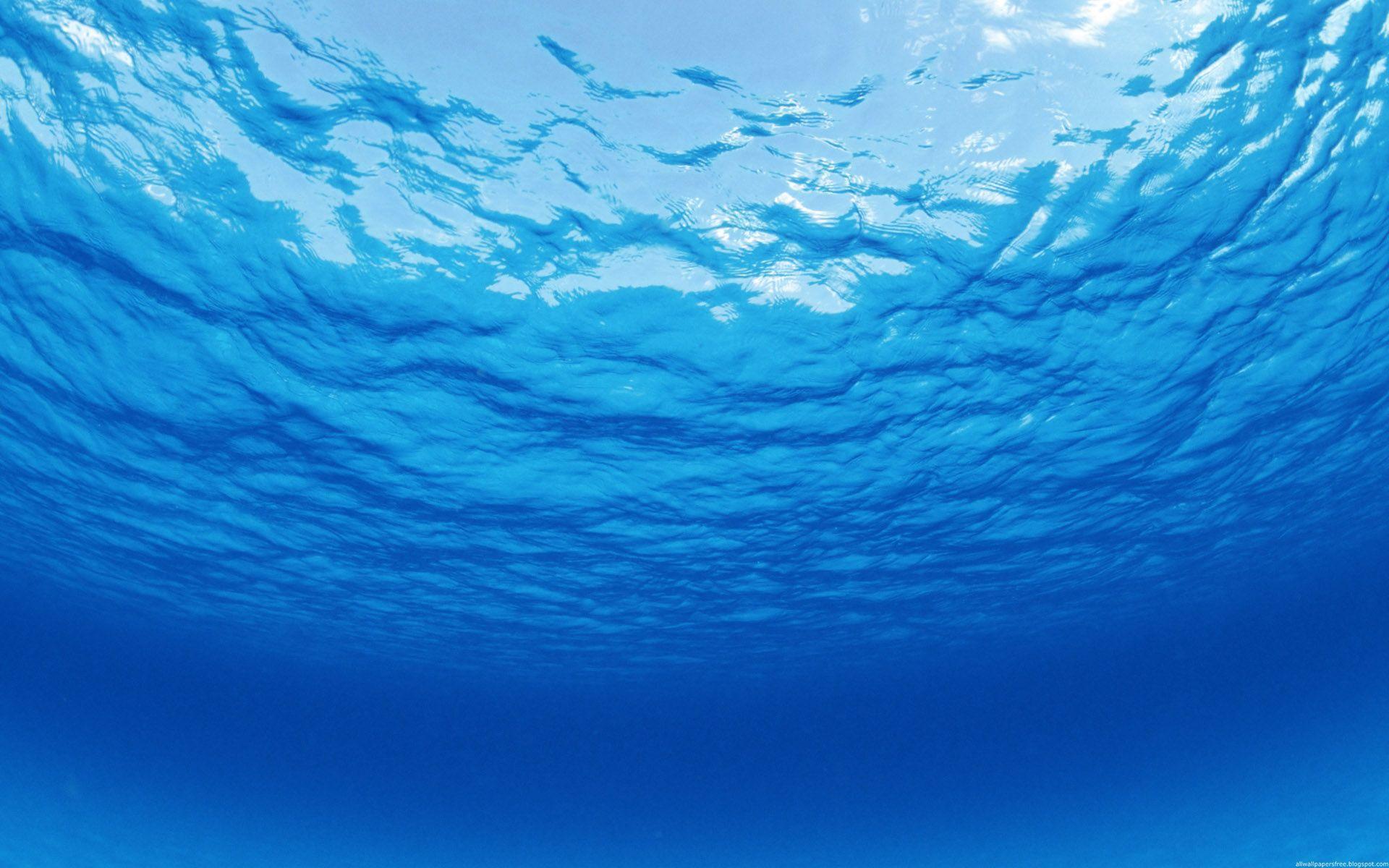 1920x1200 Deep Sea Wallpaper 28516