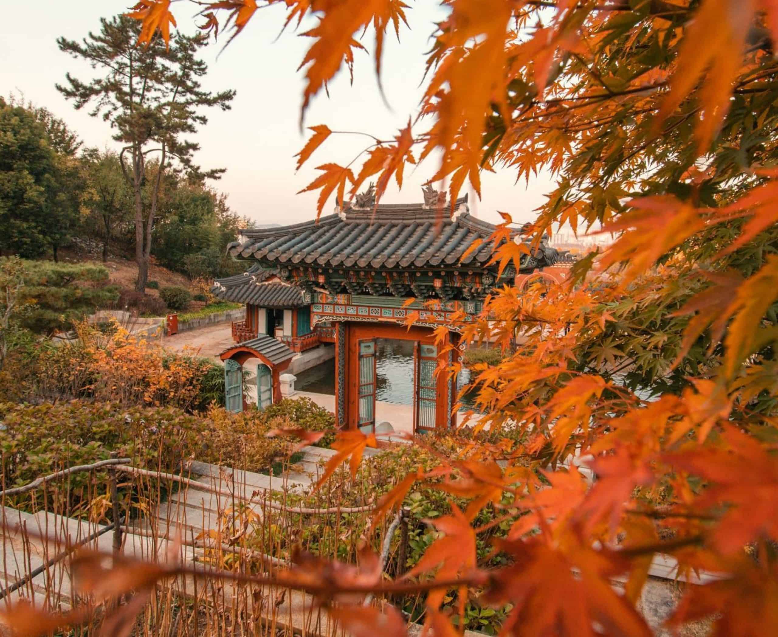 2560x2095 Complete Guide to Autumn Flowers and Fall Foliage in Korea