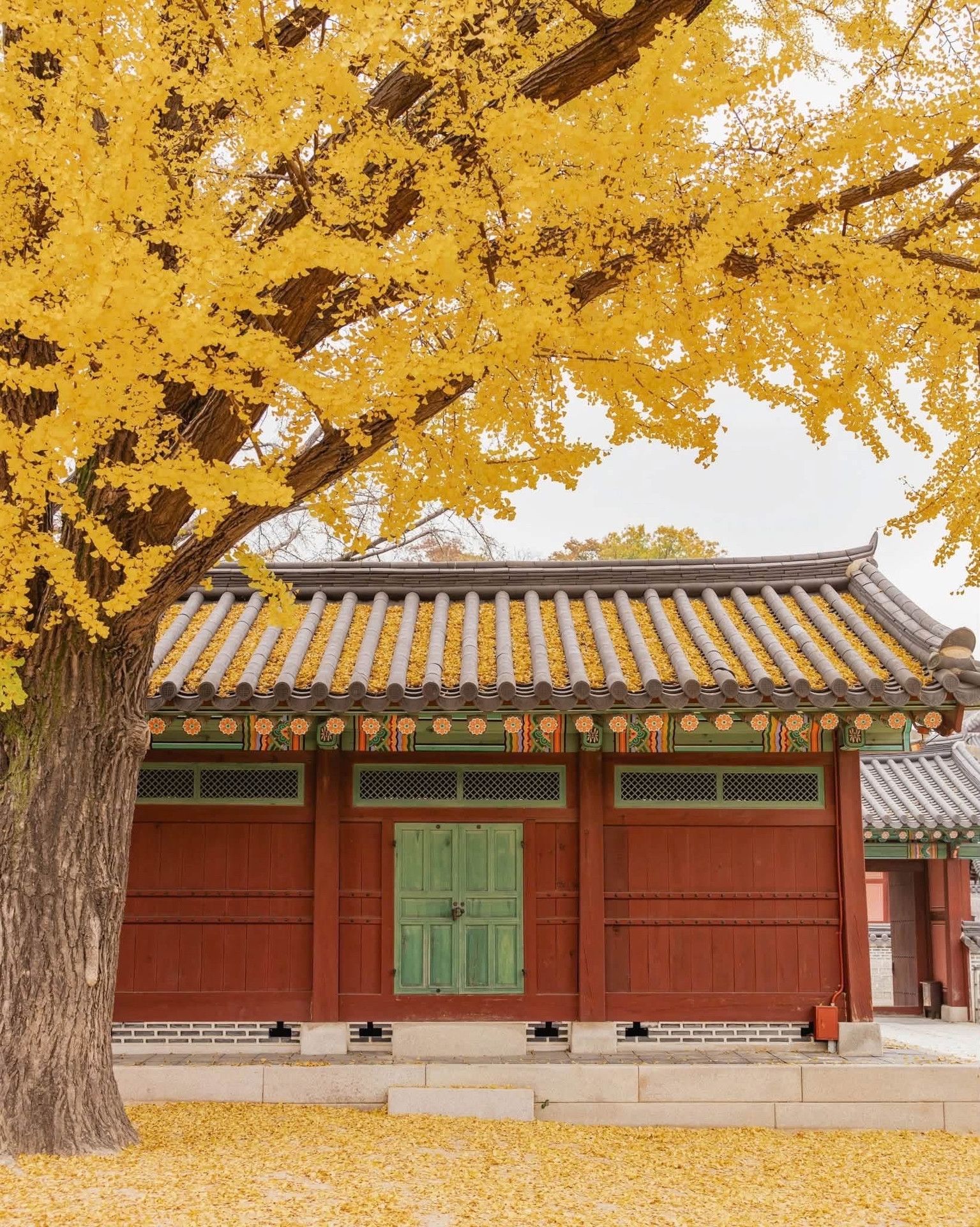 1535x1920 Seoul in fall season