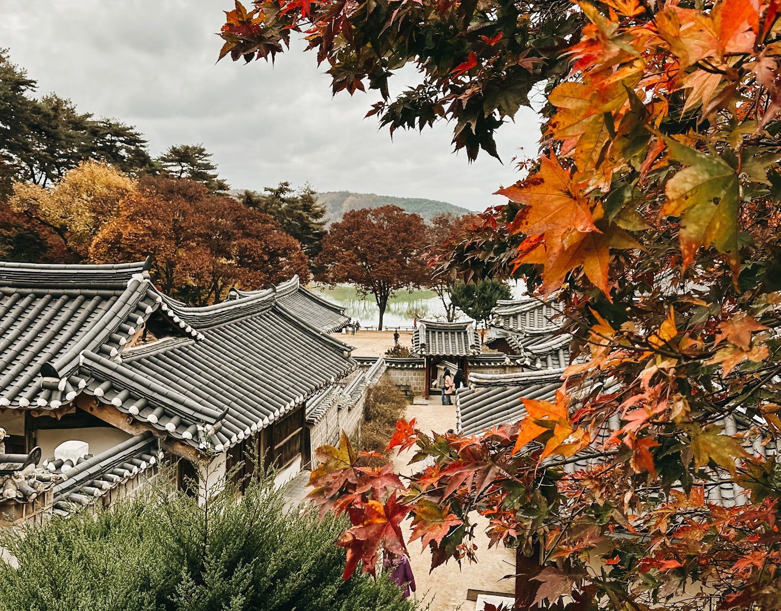 1536x1201 Chasing Colors: A Complete Guide to Fall Foliage 2025 in South Korea