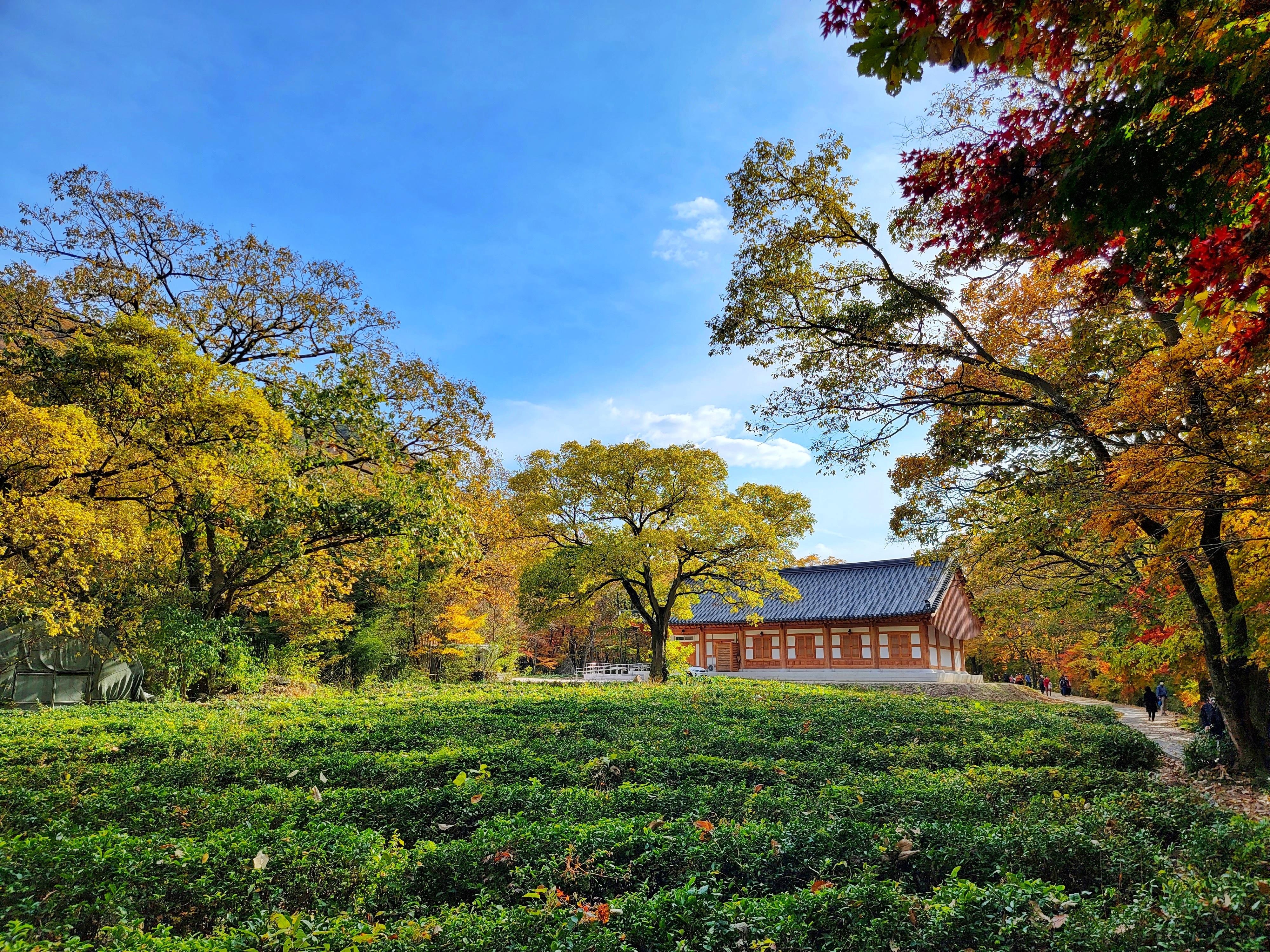 4000x3000 Fall season in South Korea