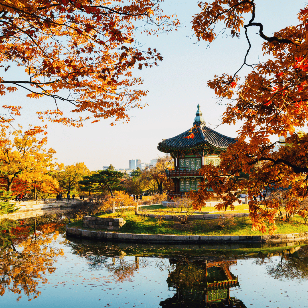 1080x1080 South Korea in Autumn: Why It's the Best Time to Visit