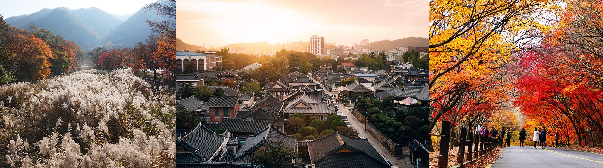 2000x560 Naejangsan Autumn Charm