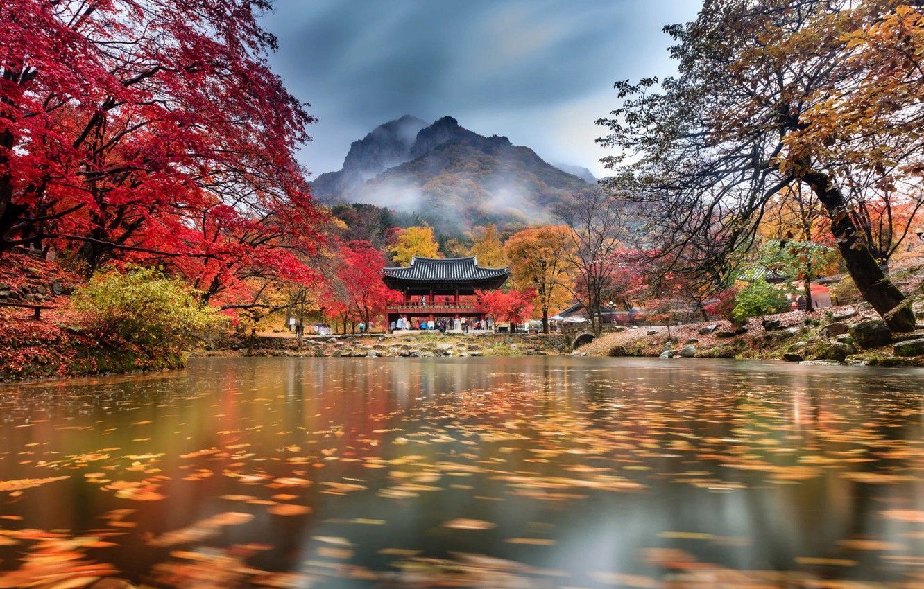 1332x850 Autumn South Korea Wallpaper