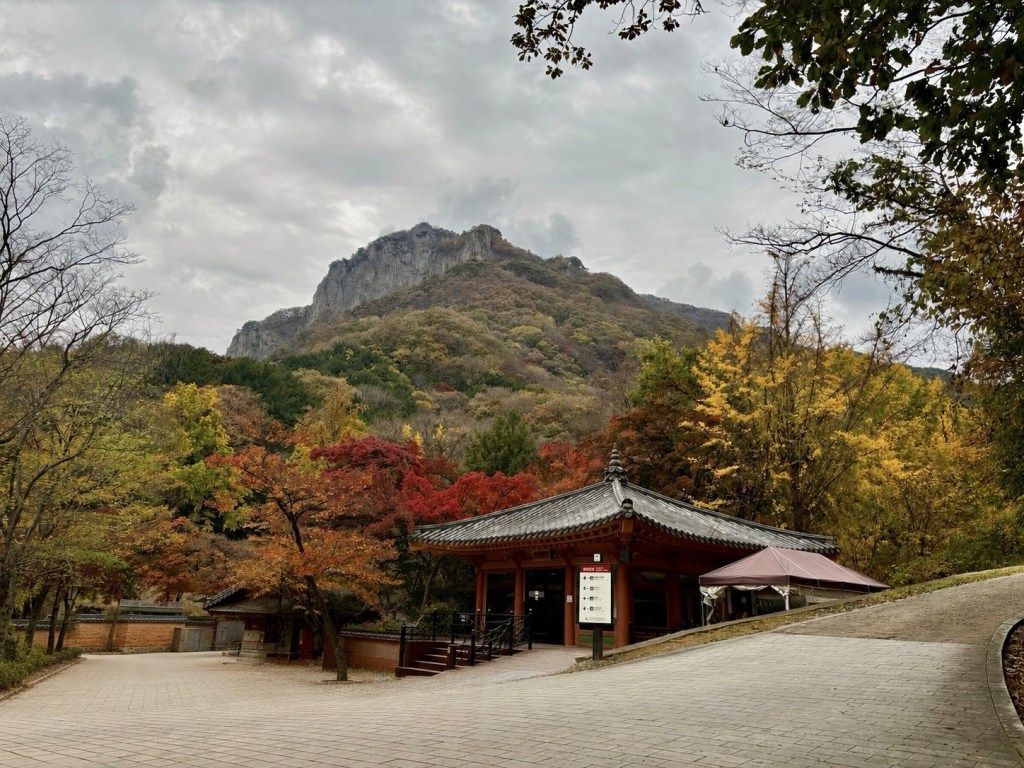1024x768 South Korea Fall Foliage Guide: Best Places & Peak Timing