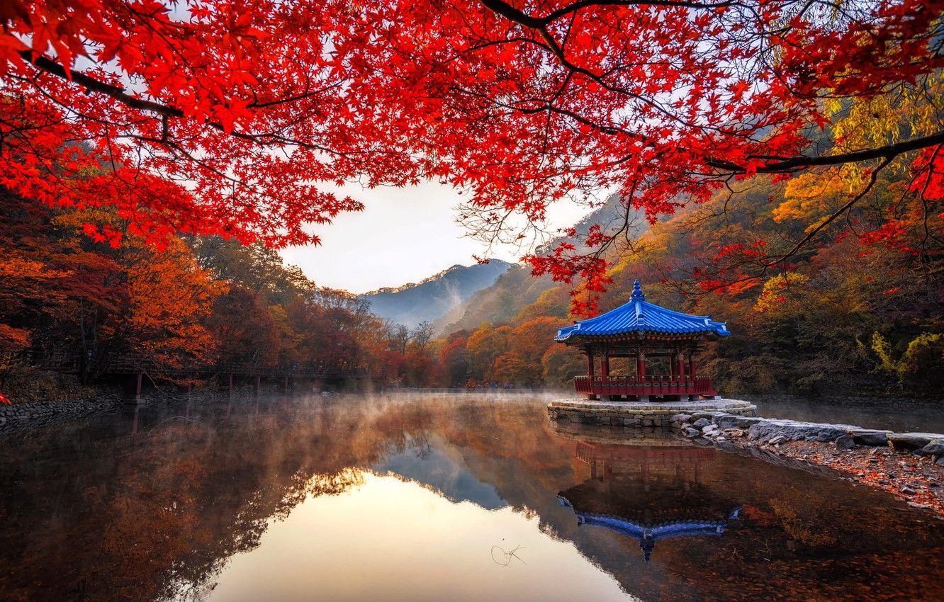 1332x850 Asia Autumn Wallpaper