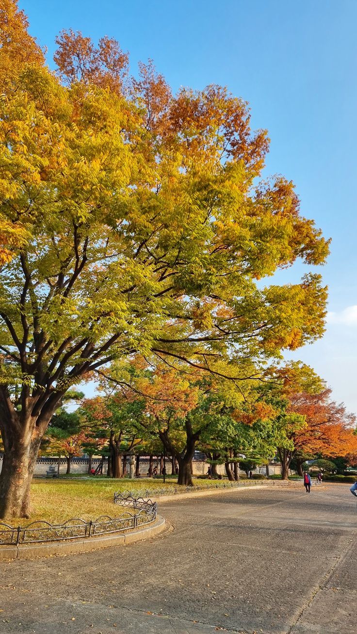 736x1307 Fall in Korea