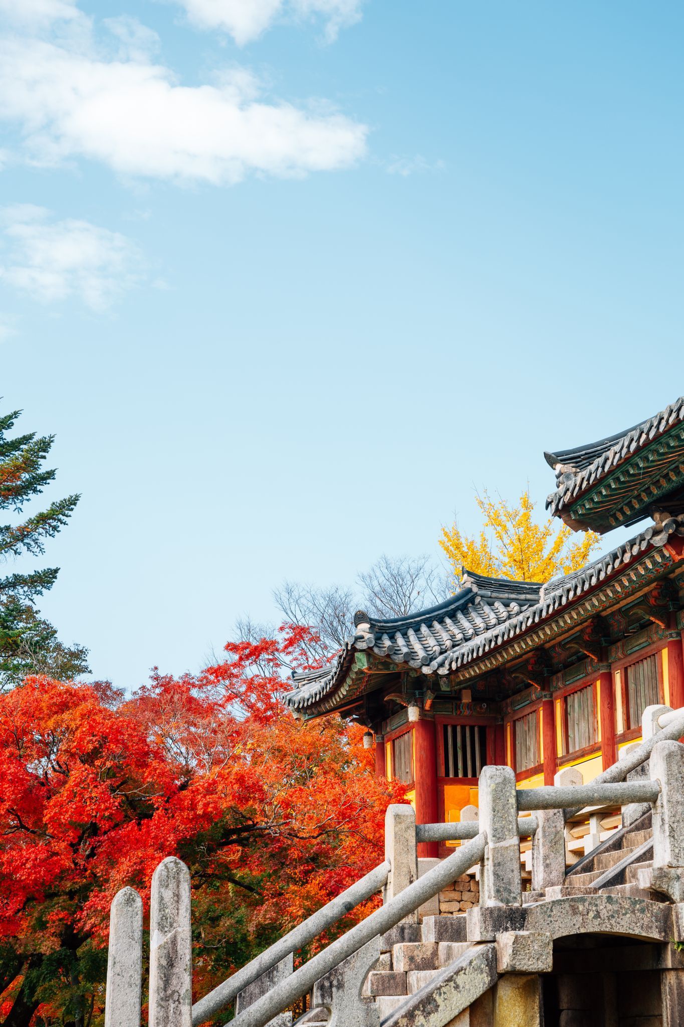 1365x2048 From Busan Gyeongju Autumn Foliage Day Tour