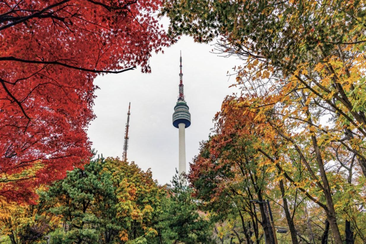 1234x822 Seoul invites visitors to monthlong autumn festival on Mount Nam Korea Times