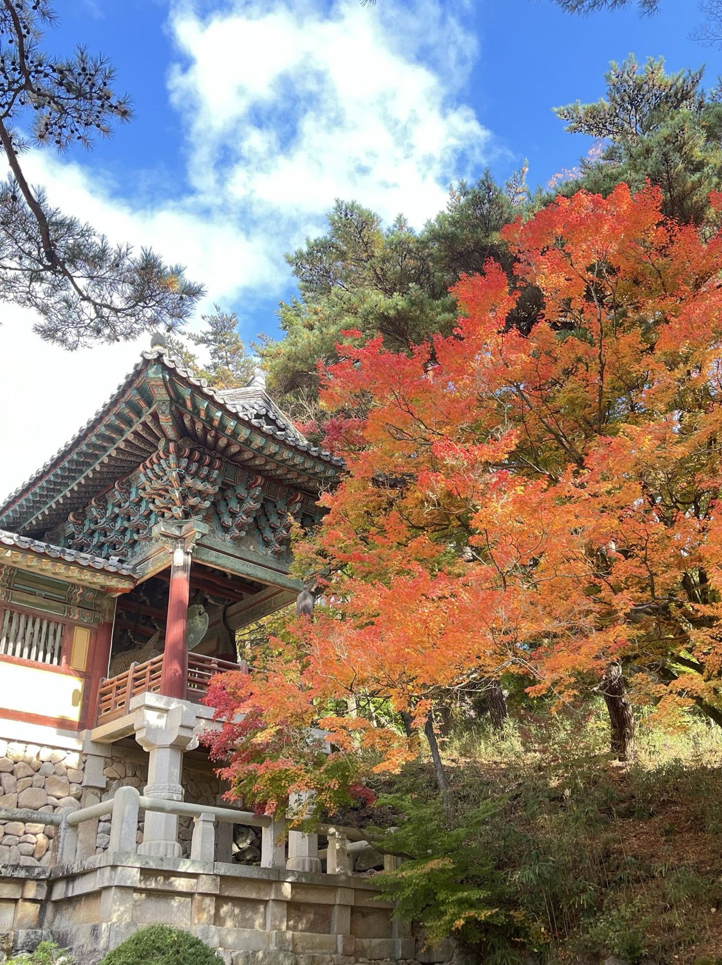 1438x1920 Autumn is here again! This was. Trip.com Gyeongju