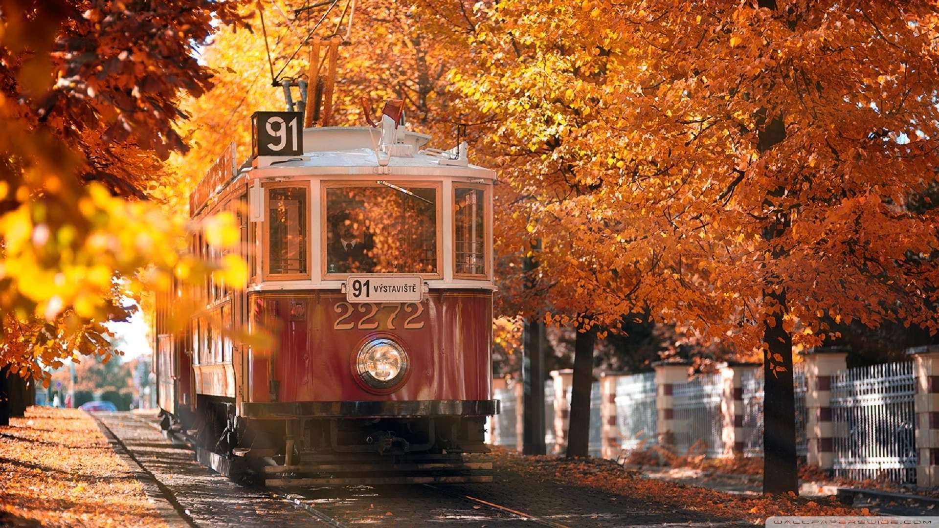 1920x1080 South Korea Autumn Wallpaper