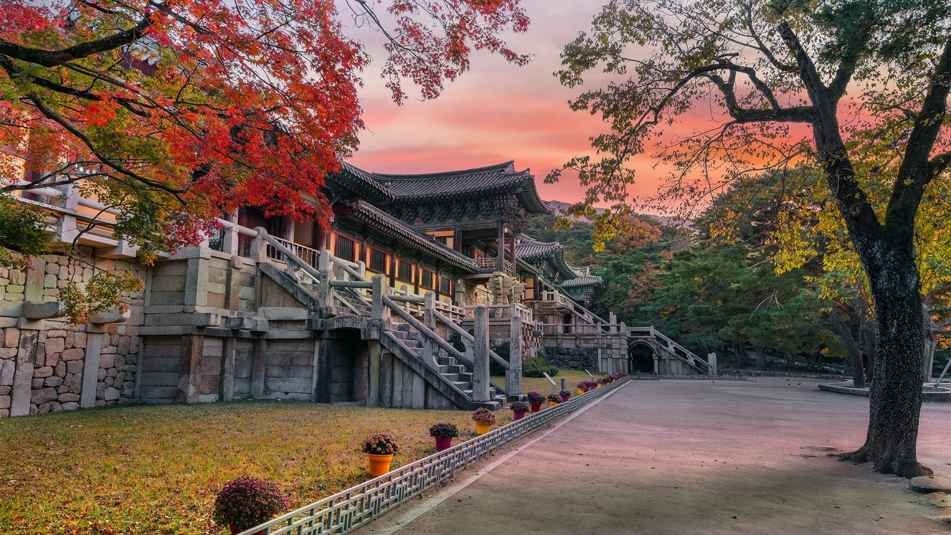 1920x1080 Limited Time Offer: 8 Day South Korea Highlights With Bullet Train, DMZ & Gyeongju + 4 Night Osaka Hyatt Stay