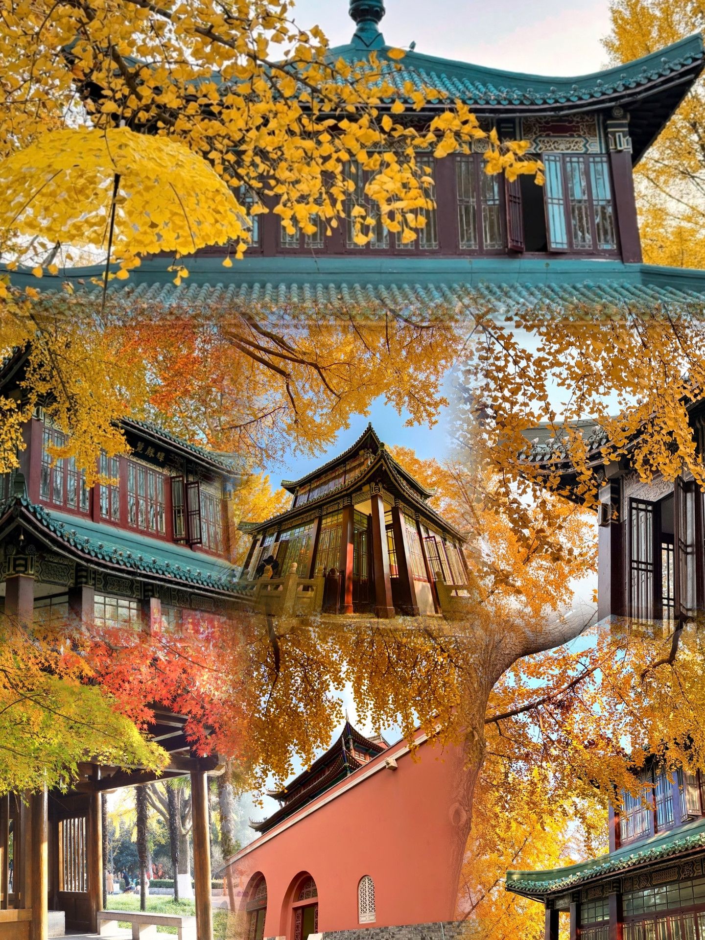 1440x1920 Nanjing's top autumn hit. The golden ginkgo corridor in Liangzhou is so soothing. Trip.com Nanjing