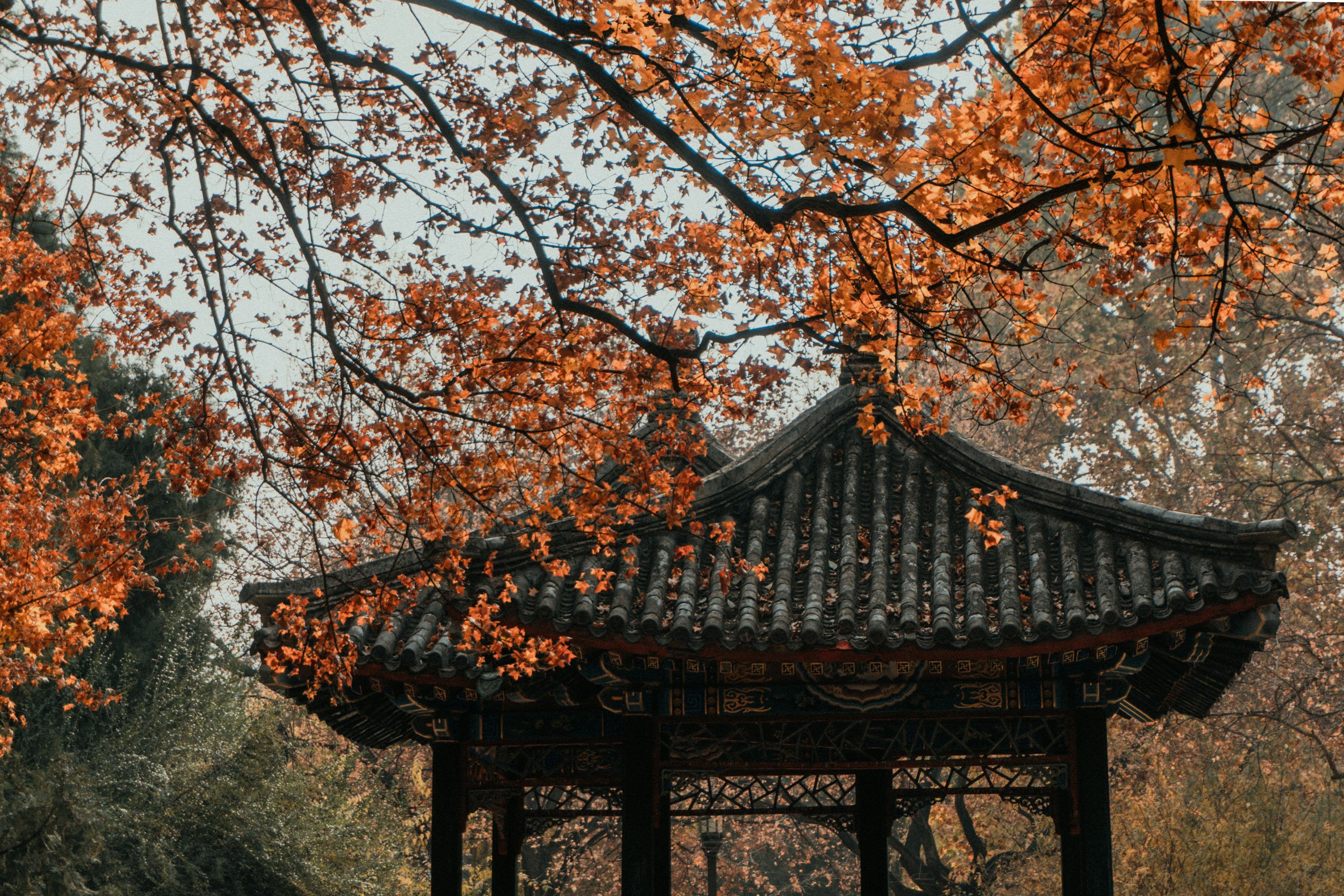 3000x2000 Landscape photo of pagoda during daytime