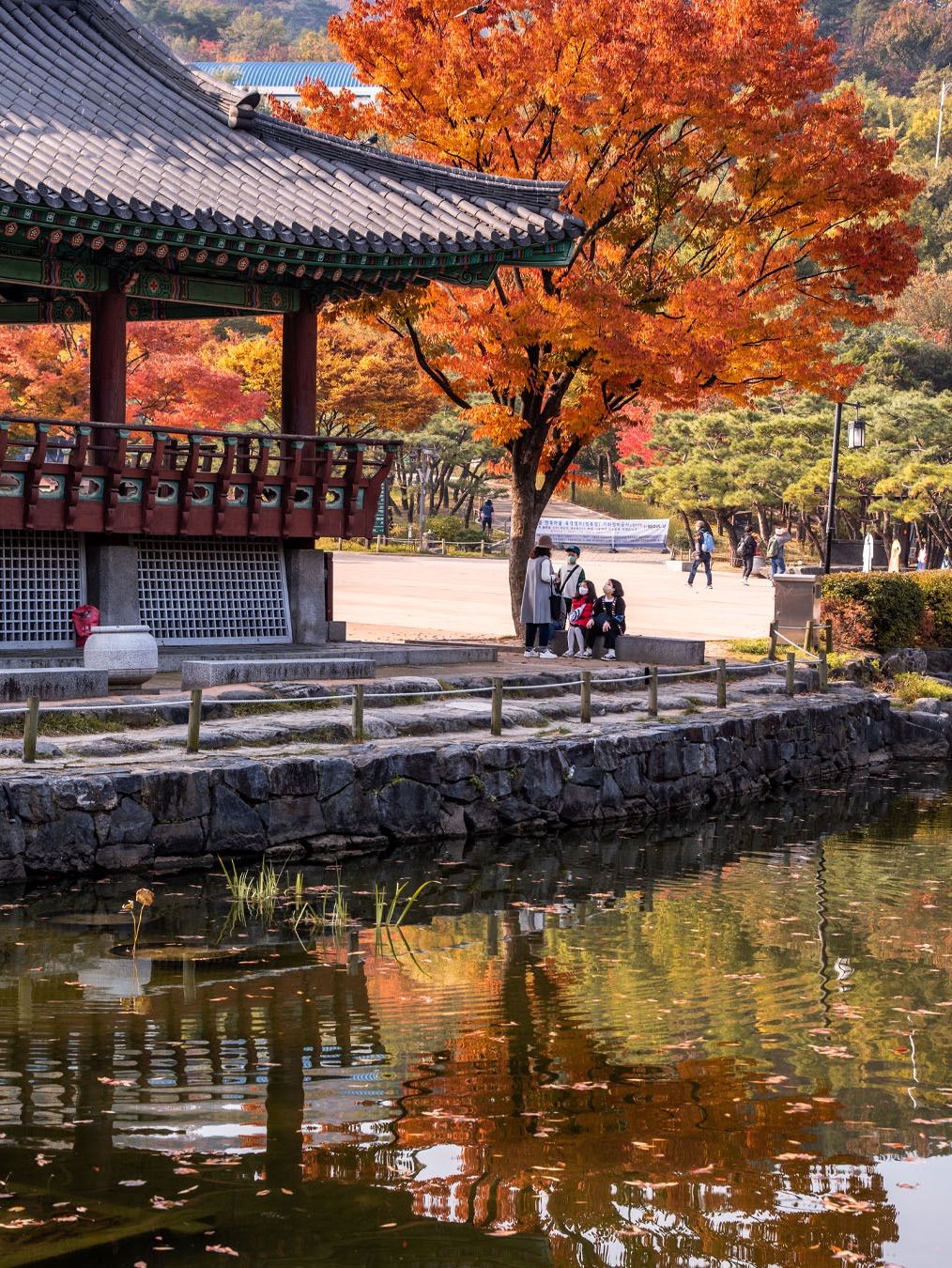 1014x1350 A place where you can enjoy Namsan, Hanok, and autumn leaves all at once. Trip.com Seoul