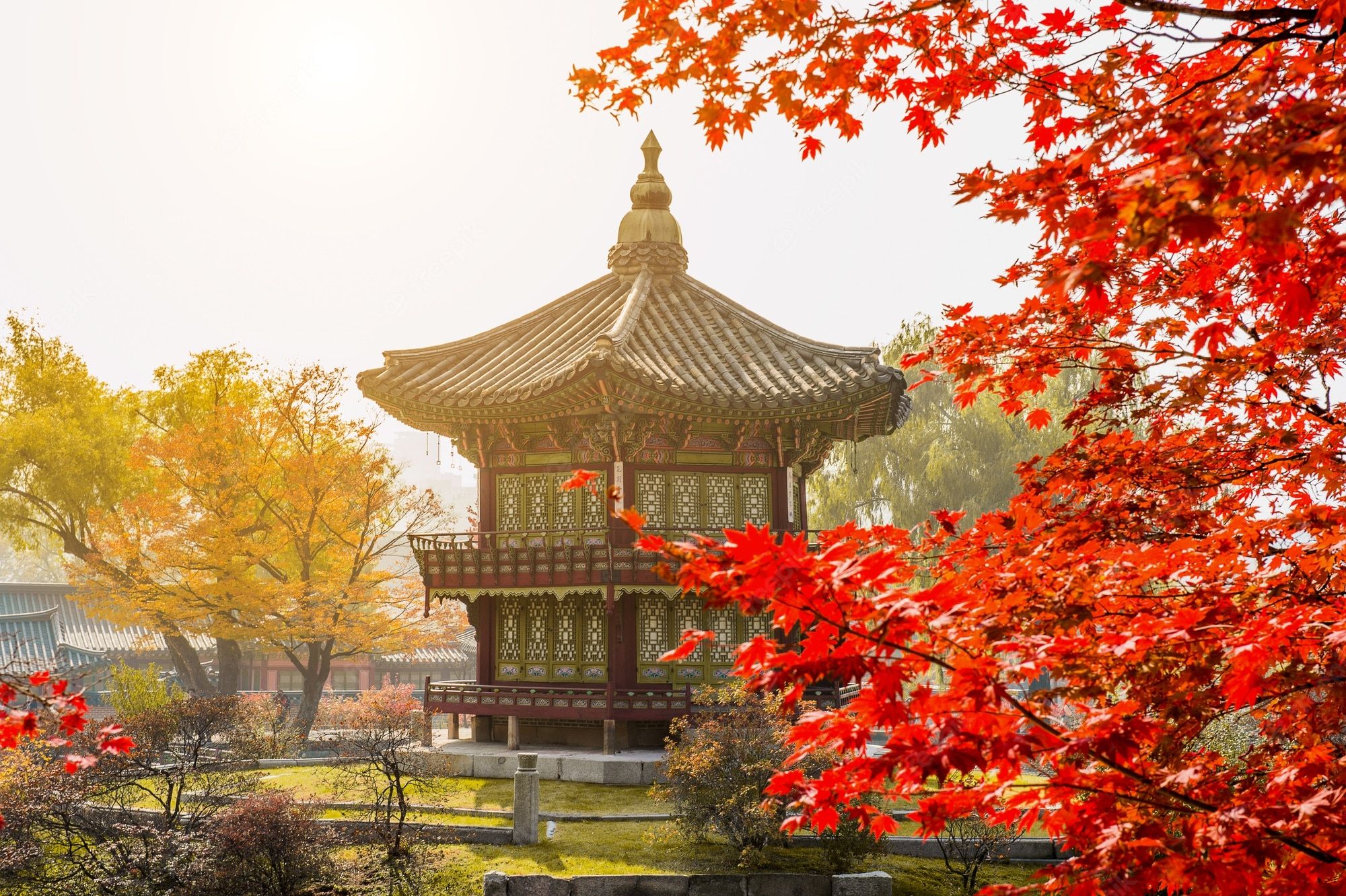 2000x1331 South Korean Autumn Wallpaper