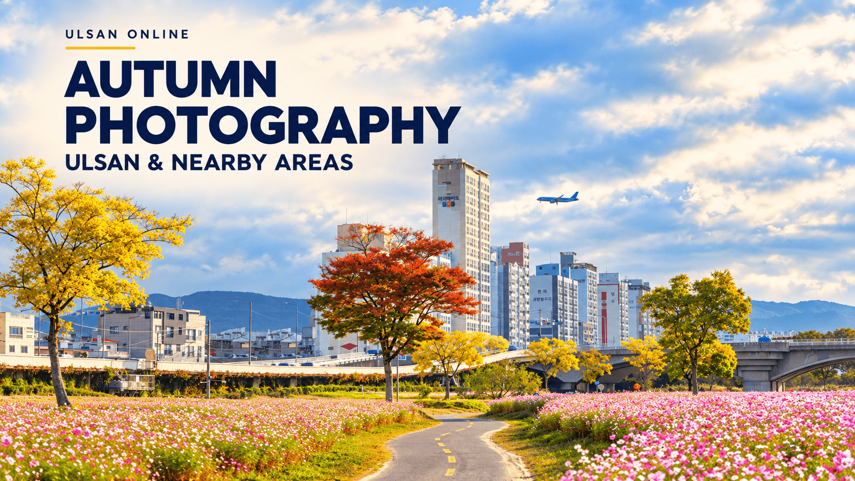 1672x941 Korean fall photography