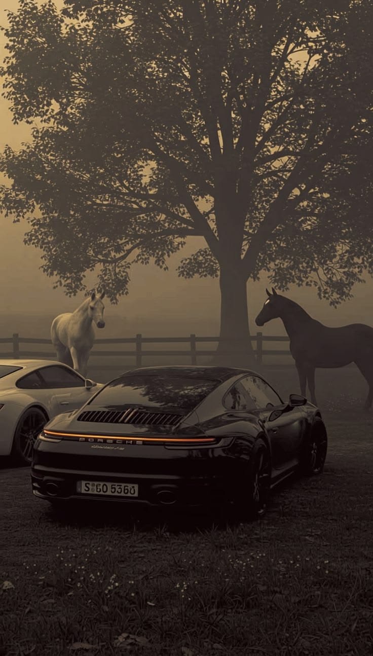 736x1294 Porsche Fall Drive Vibes