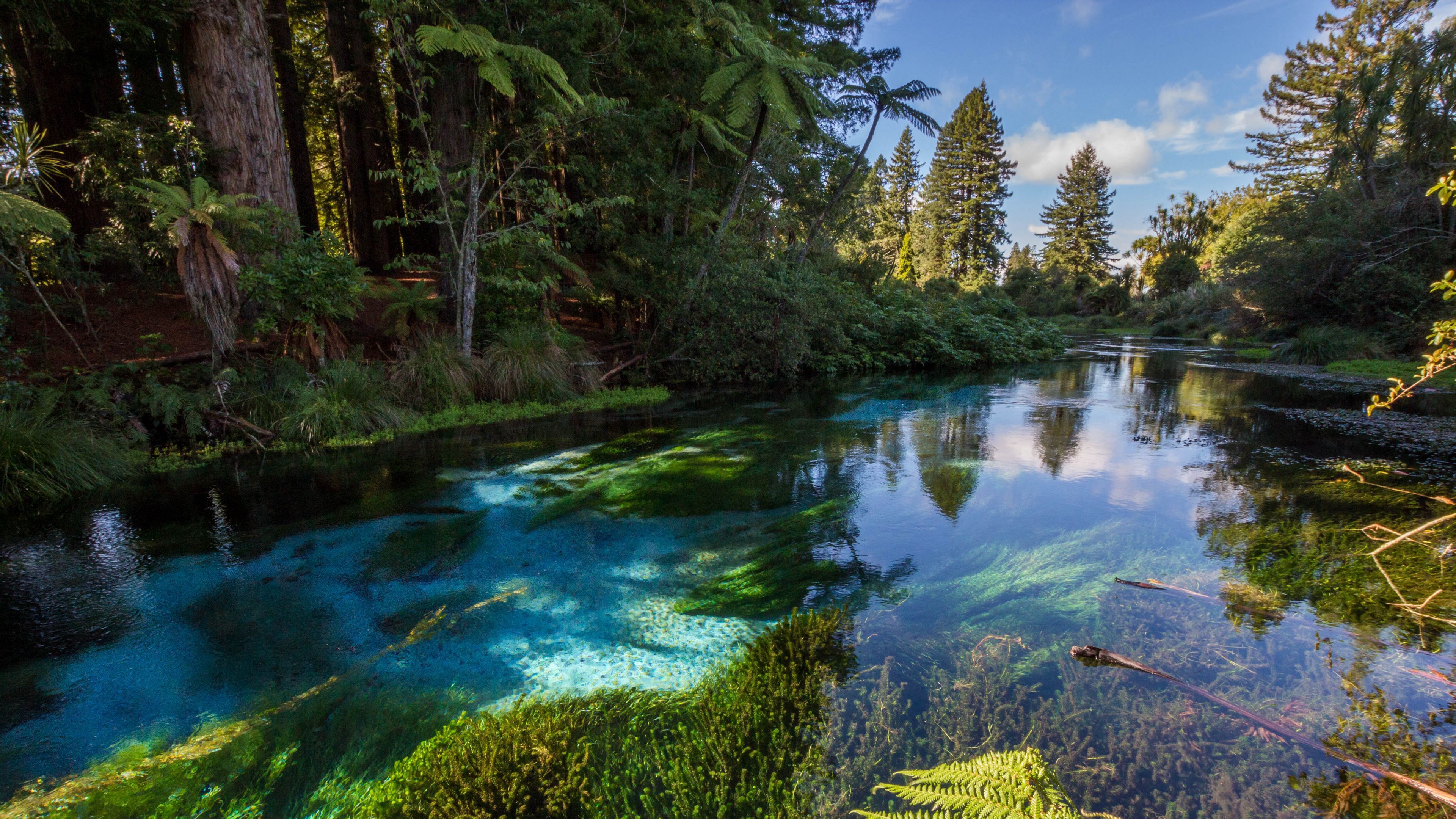 3840x2160 River Between Trees Bushes In Forest With Reflection On Water 4K HD Forest Wallpaper