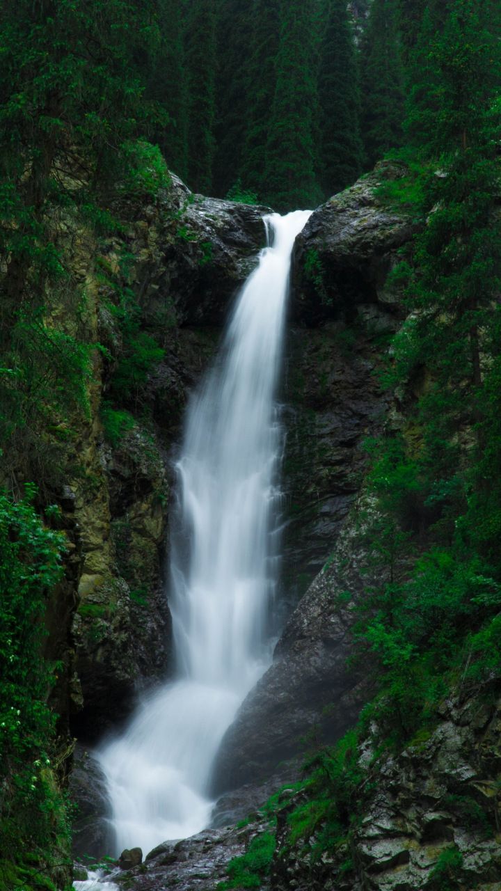 720x1280 Water current, waterfall, green forest, nature, 720x1280 wallpaper