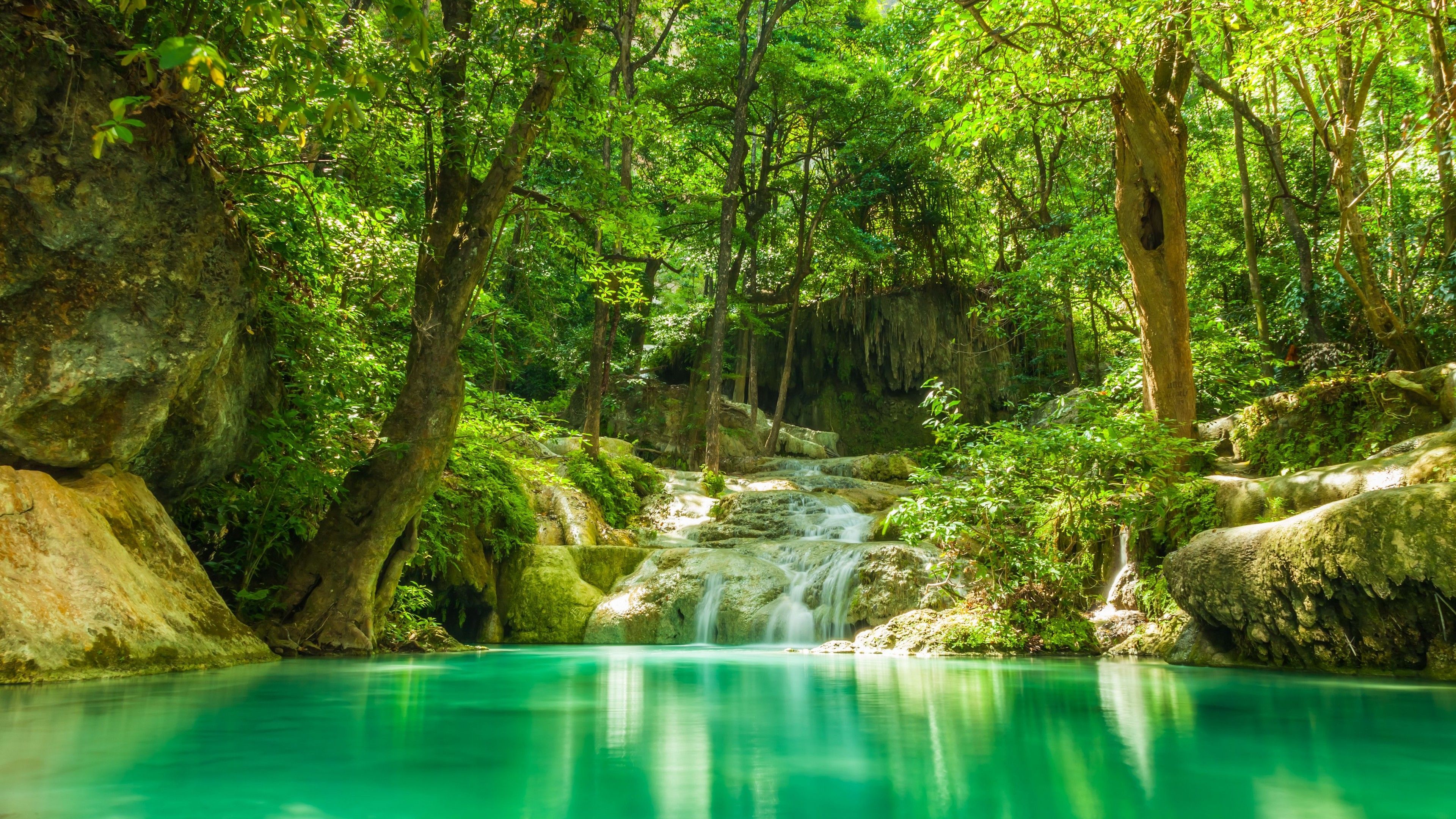 3840x2160 Forest Spring Water Wallpaper