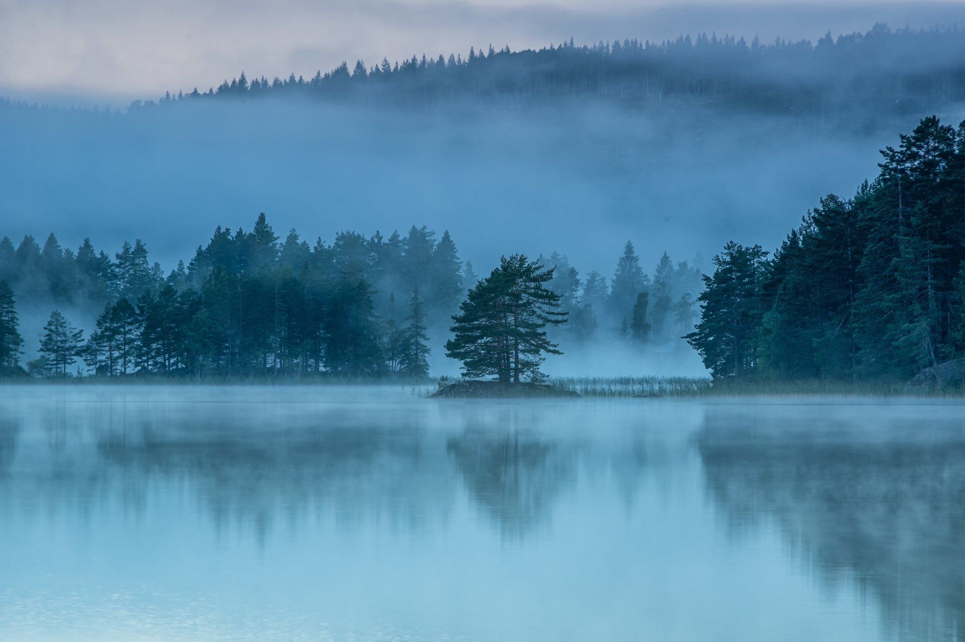1920x1277 Misty Forest Reflections Ultra HD Nature Wallpaperx2554