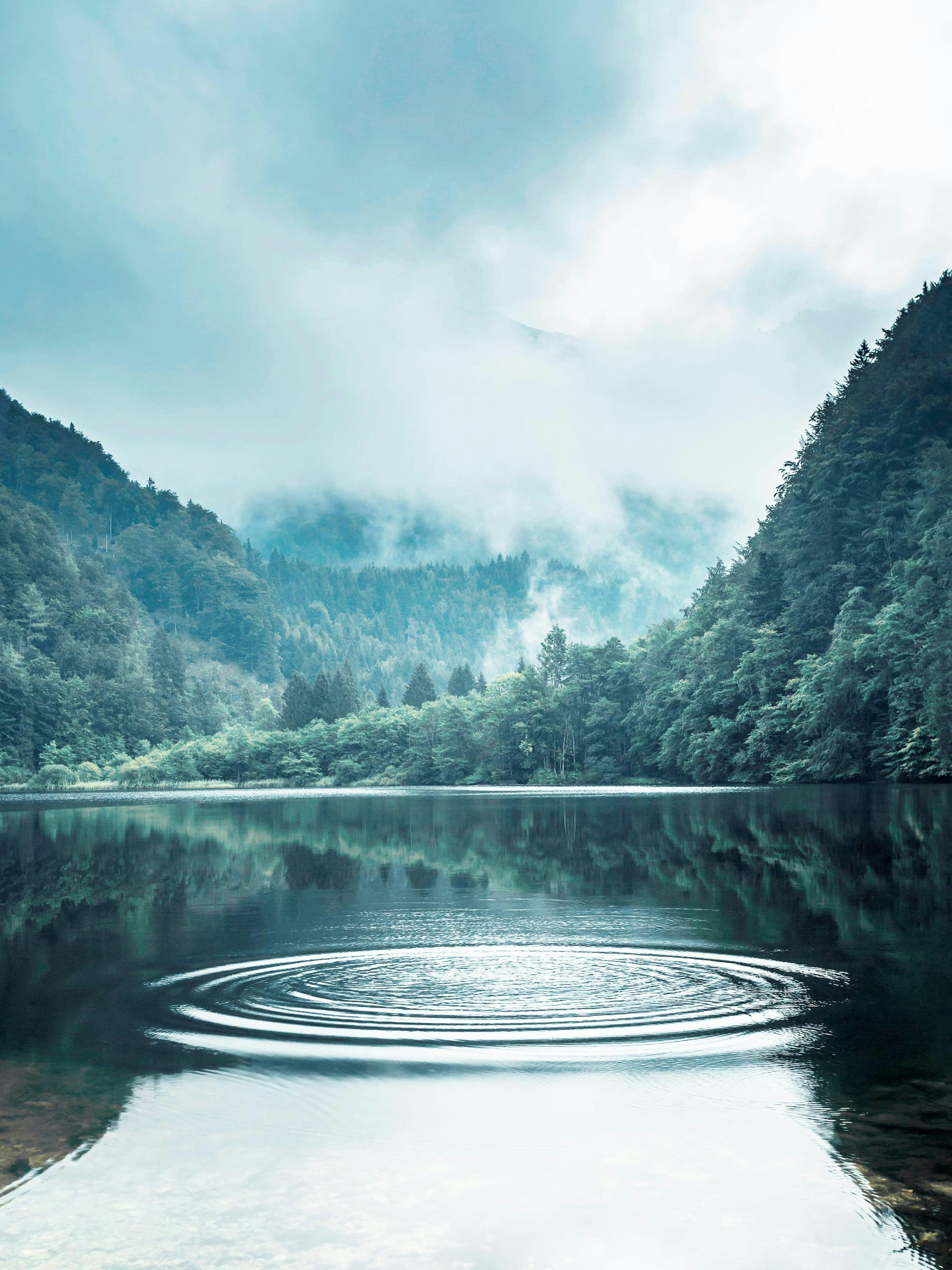 2000x2667 Rings on the Water Poster and lake
