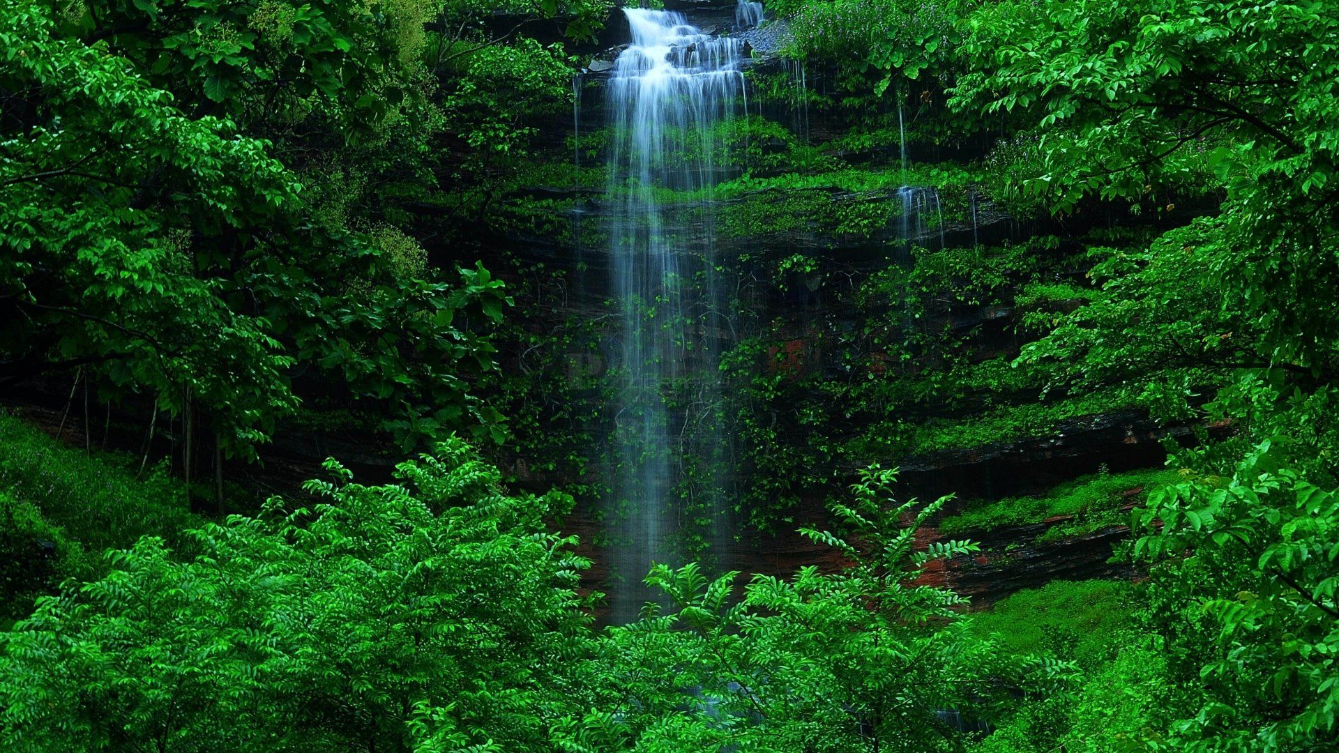 1920x1080 4K Ultra HD Forest Waterfallx2160