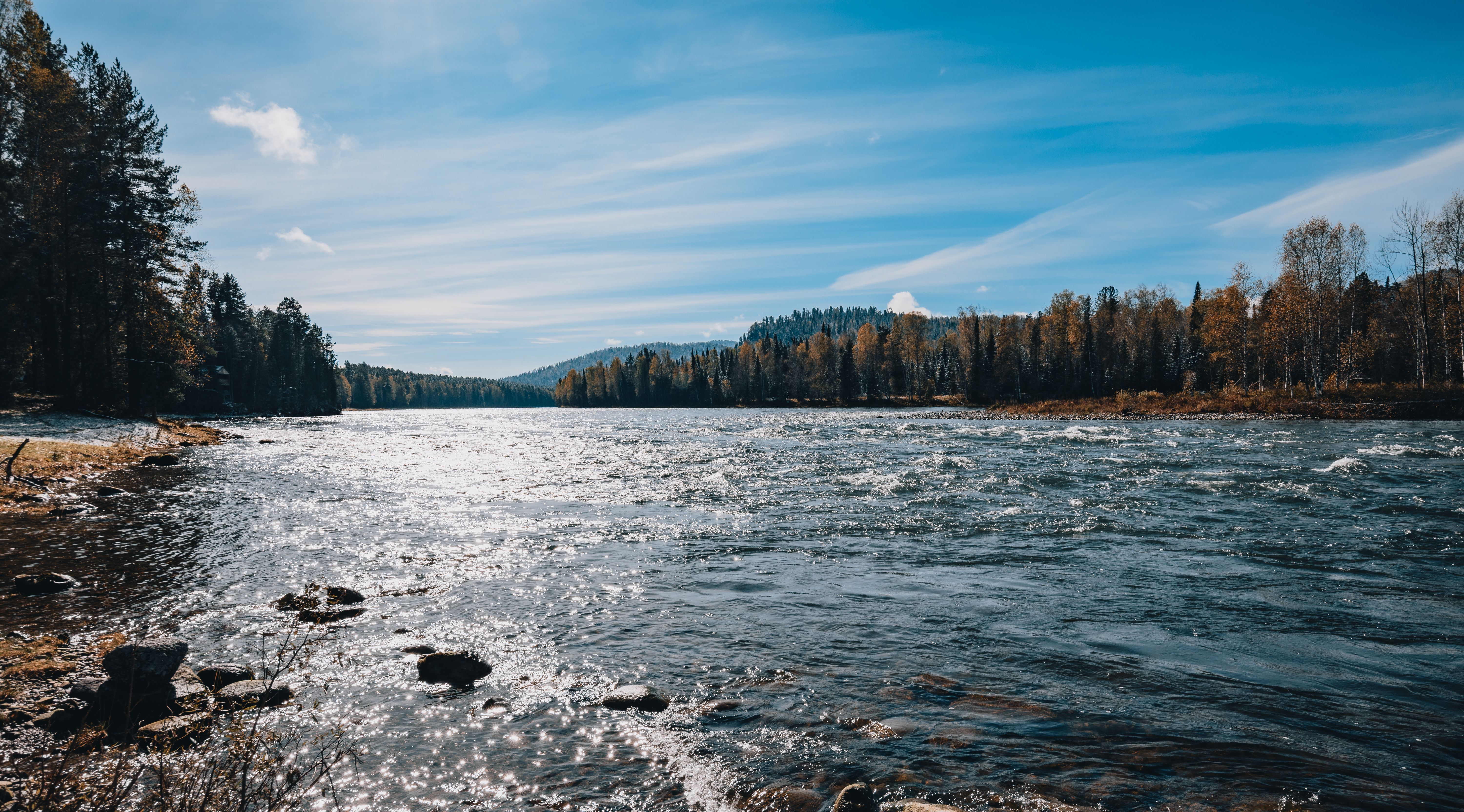 6000x3329 Forest River Photo, Download The BEST Free Forest River & HD Image
