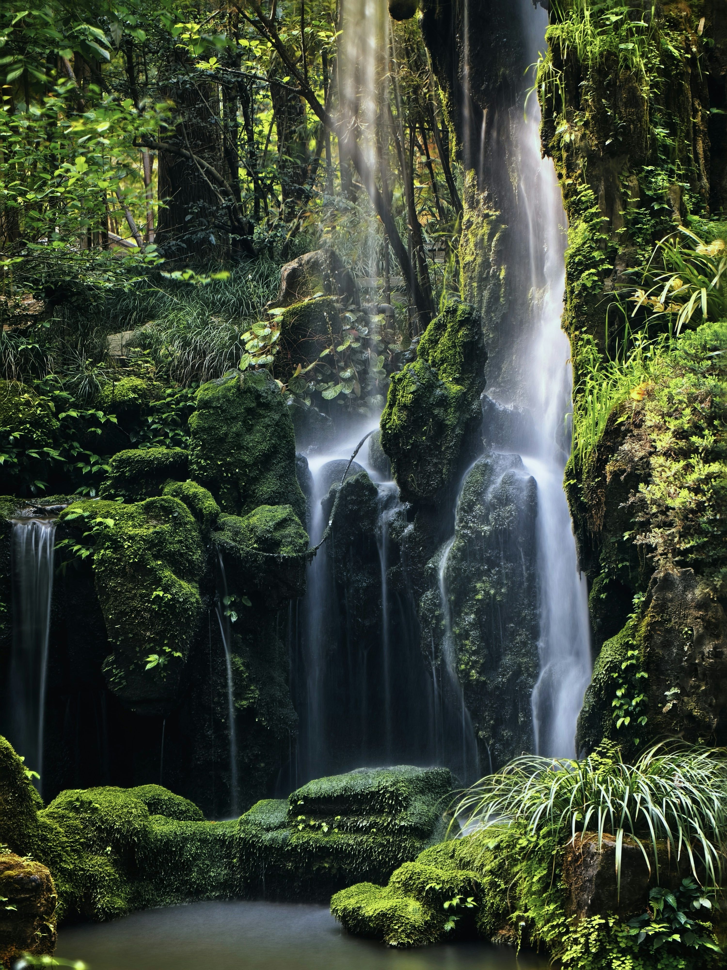 3000x4000 Forest Waterfall Picture. Download Free Image
