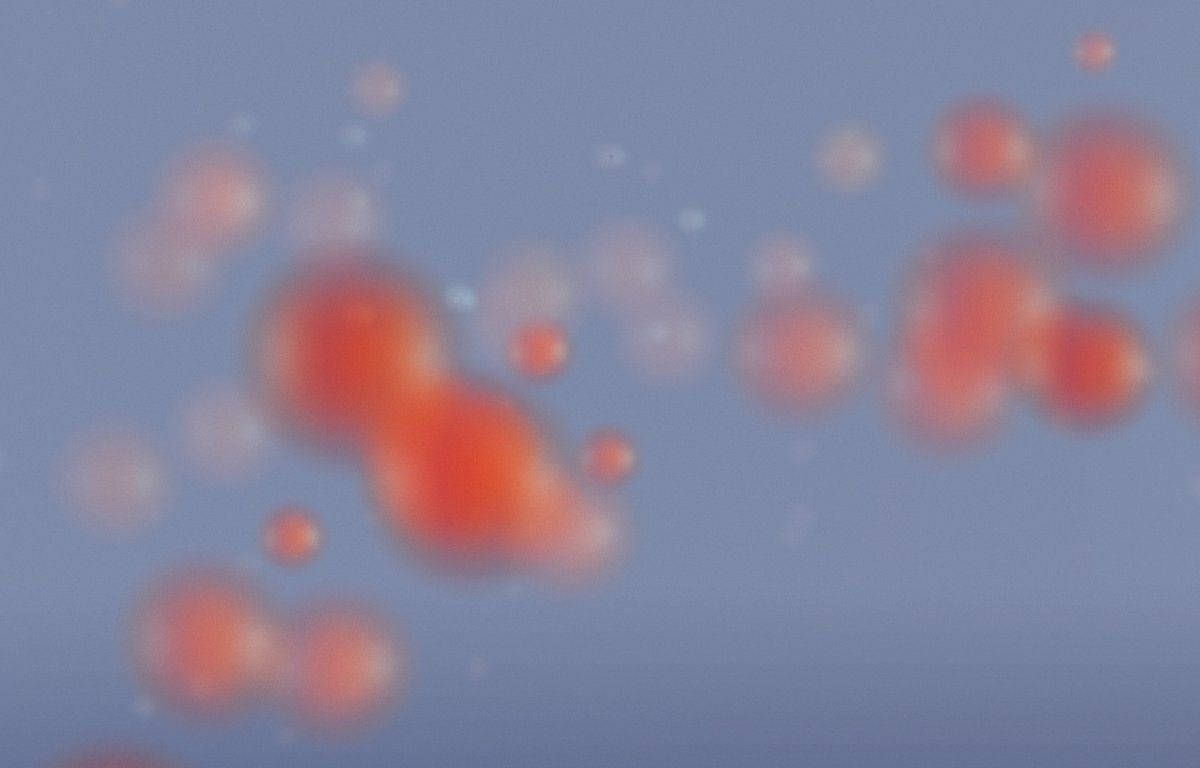 1200x768 Orange Y2k Wallpaper