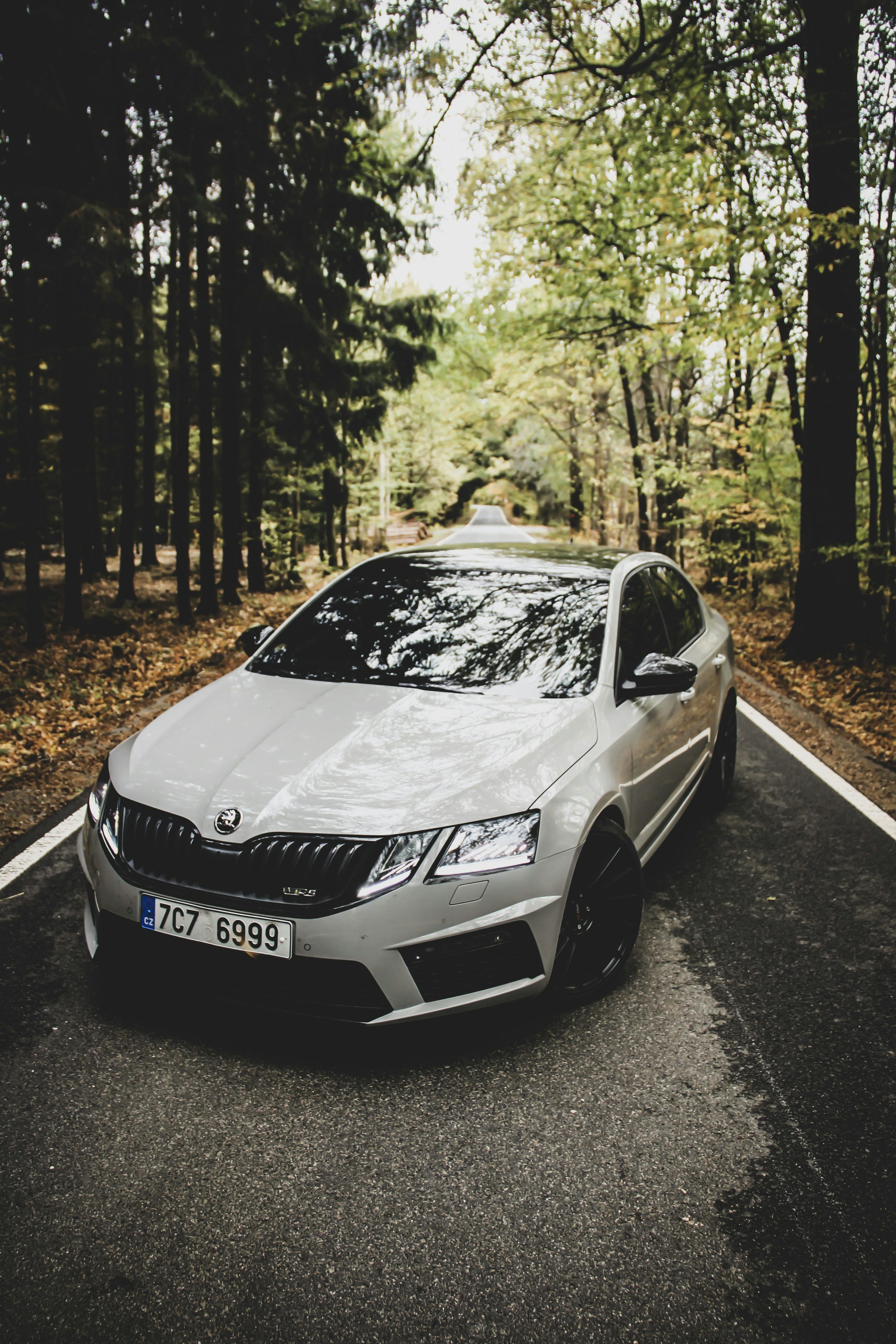 3000x4500 Skoda Octavia Picture. Download Free Image