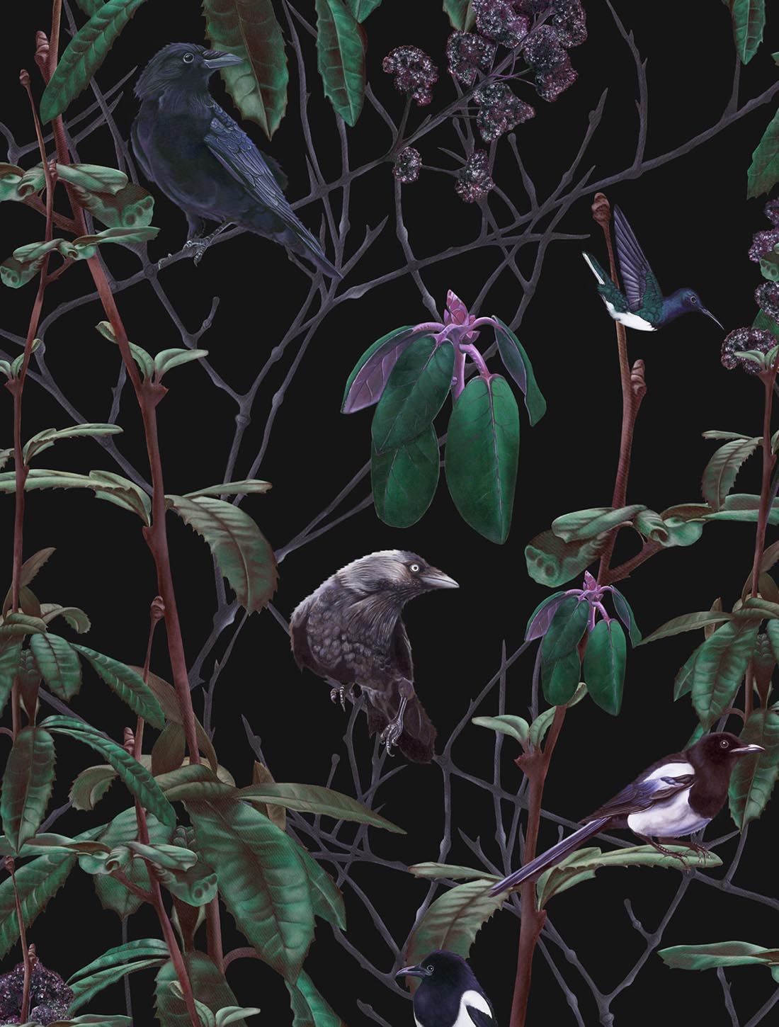 1100x1450 Luxury Witchy Wallpaper Painted Ravens And Black Birds