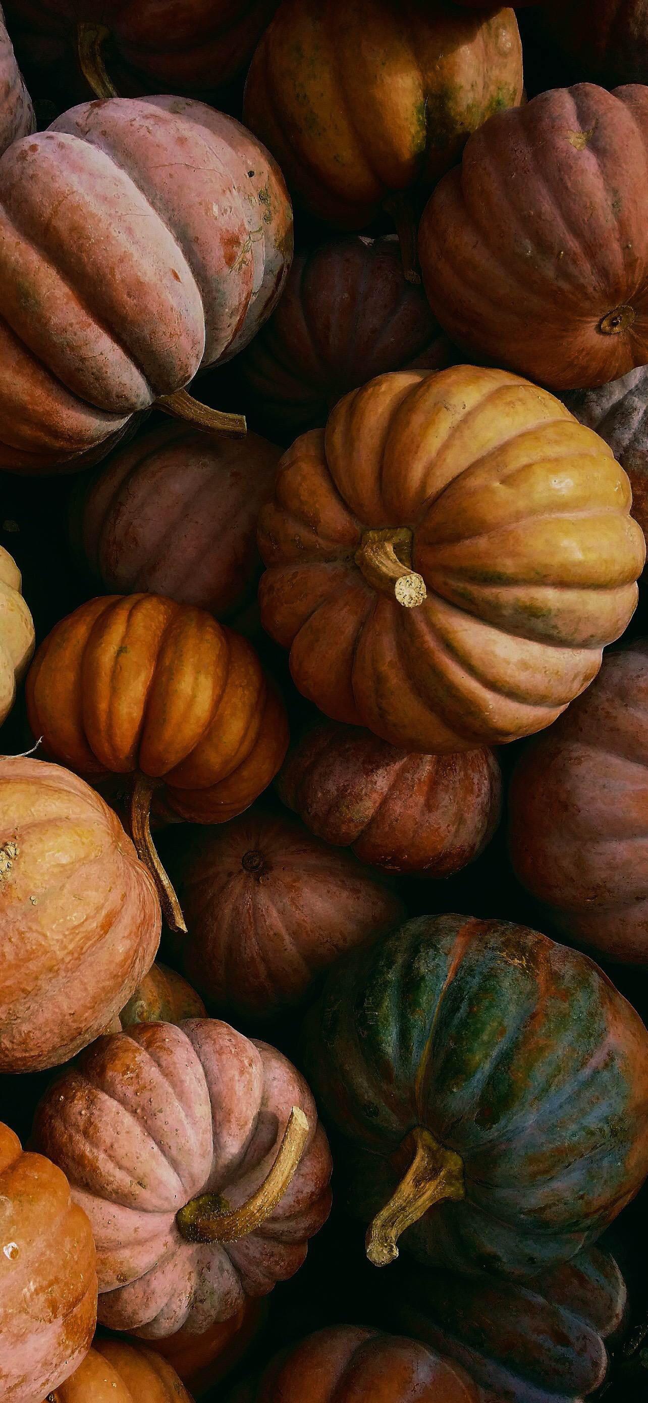 1284x2778 Vellum App is back with their fall background. Lots of fun witchy things. Thought you all might like these!