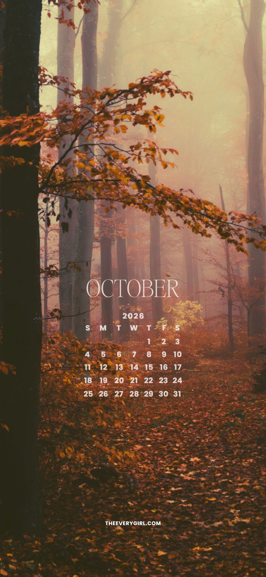 1125x2436 Free October 2026 Fall Wallpaper & Halloween Tech Background
