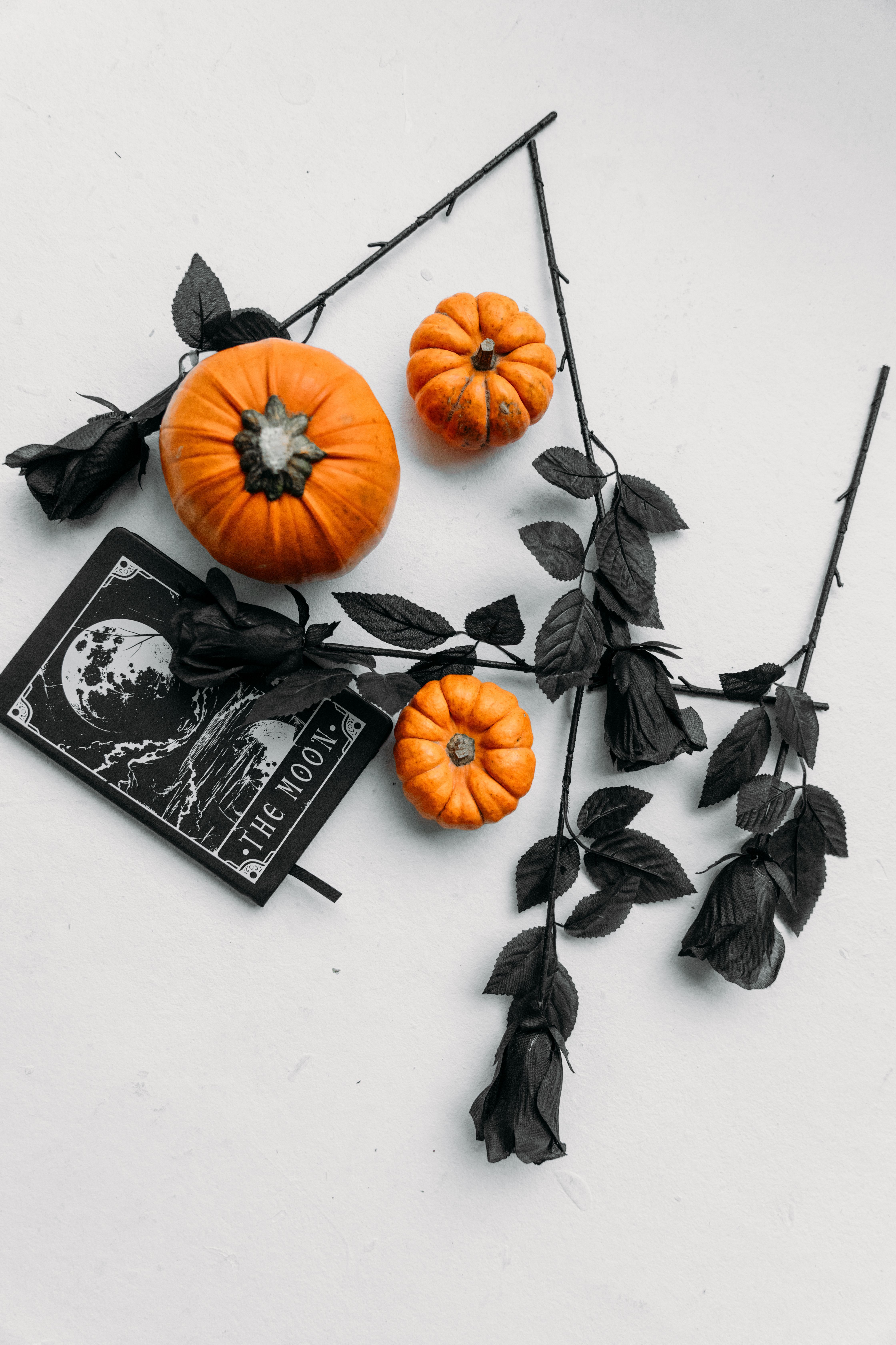 4480x6720 Witchy Wallpaper Photo, Download The BEST Free Witchy Wallpaper & HD Image