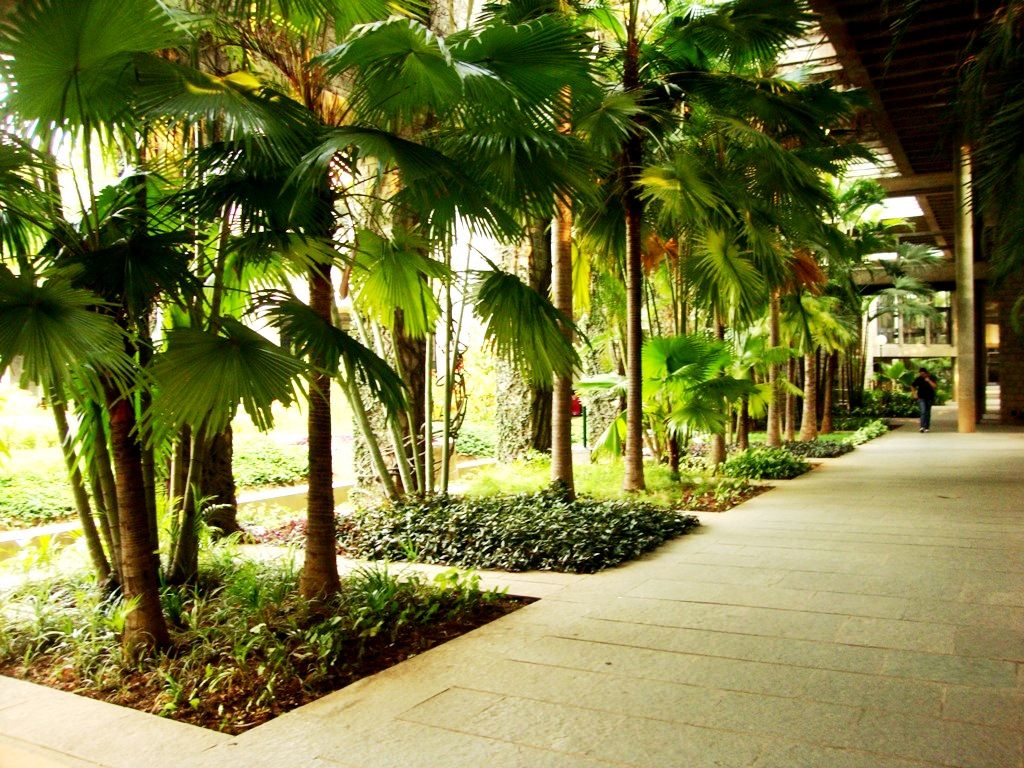 1024x768 IIM Bangalore. B.V. Doshi