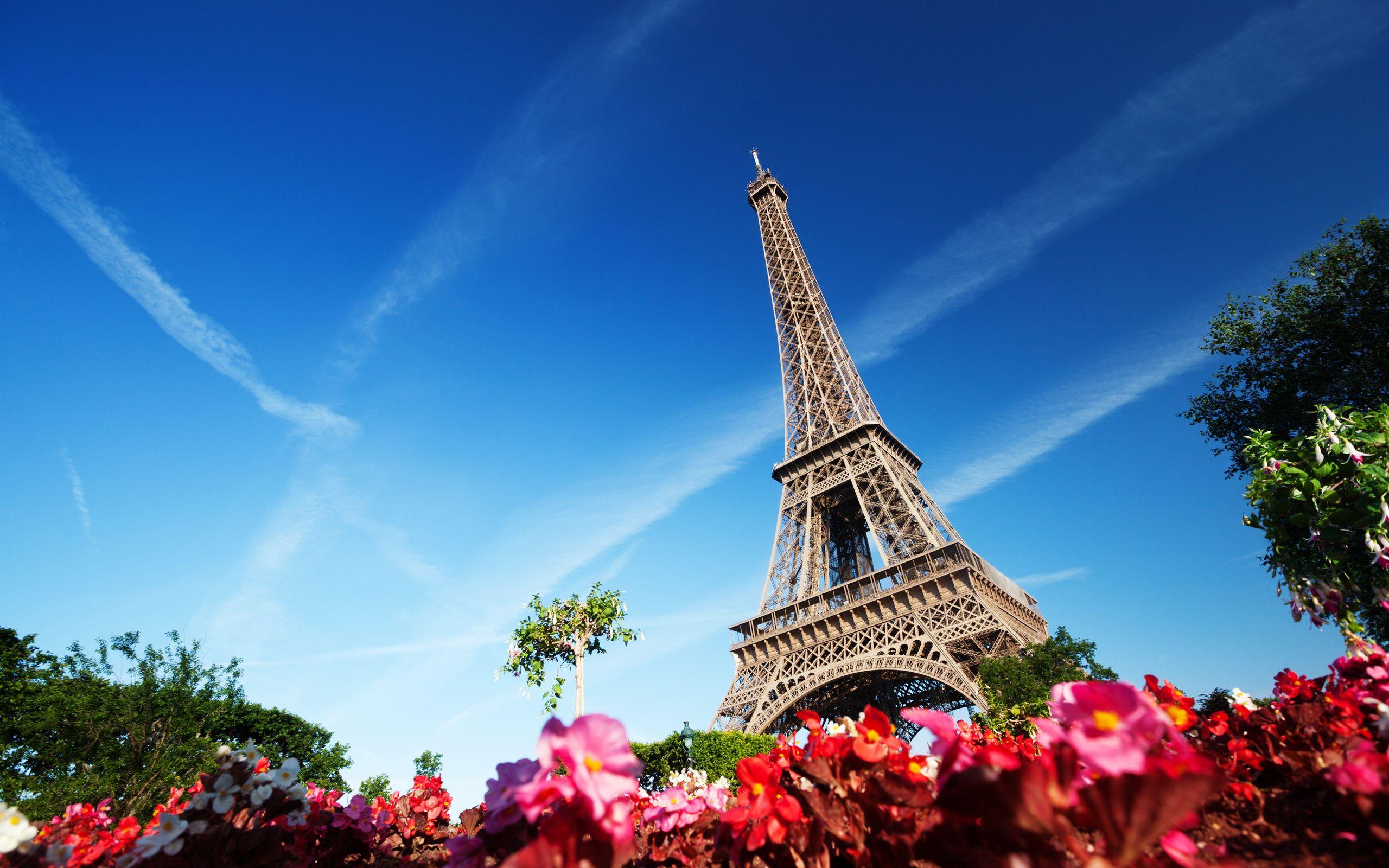2560x1600 Free download Eiffel Tower and Flowers Wallpaper Travel HD Wallpaper [2560x1600] for your Desktop, Mobile & Tablet. Explore Eiffel Tower HD Wallpaper. Eiffel Tower Wallpaper, Eiffel Tower