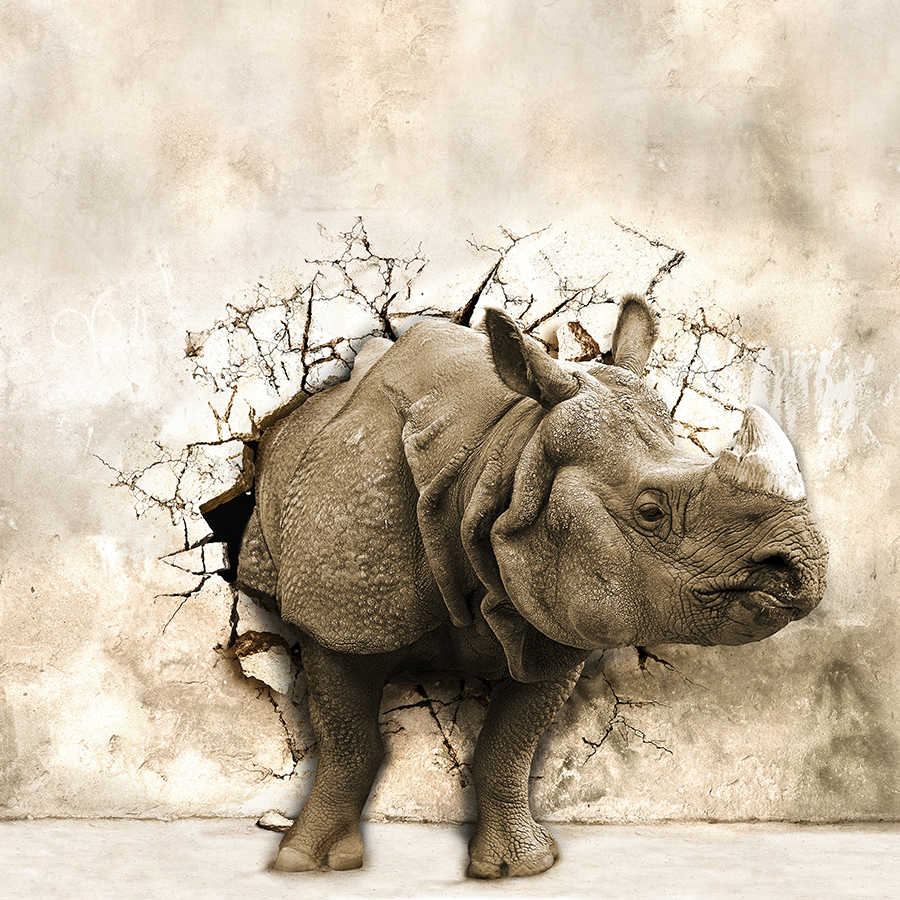 900x900 Animal Motif Wall Mural Rhino In The Wall On Premium Smooth Non Woven