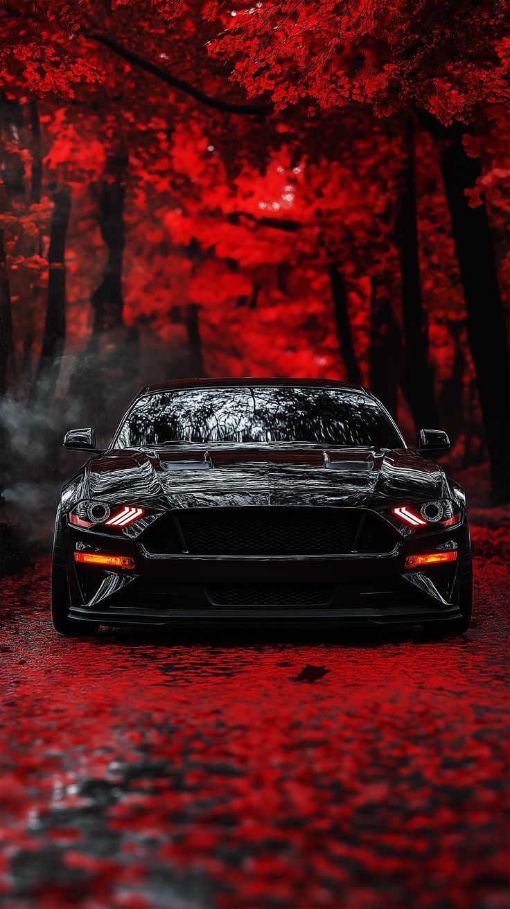 736x1312 Ford mustang
